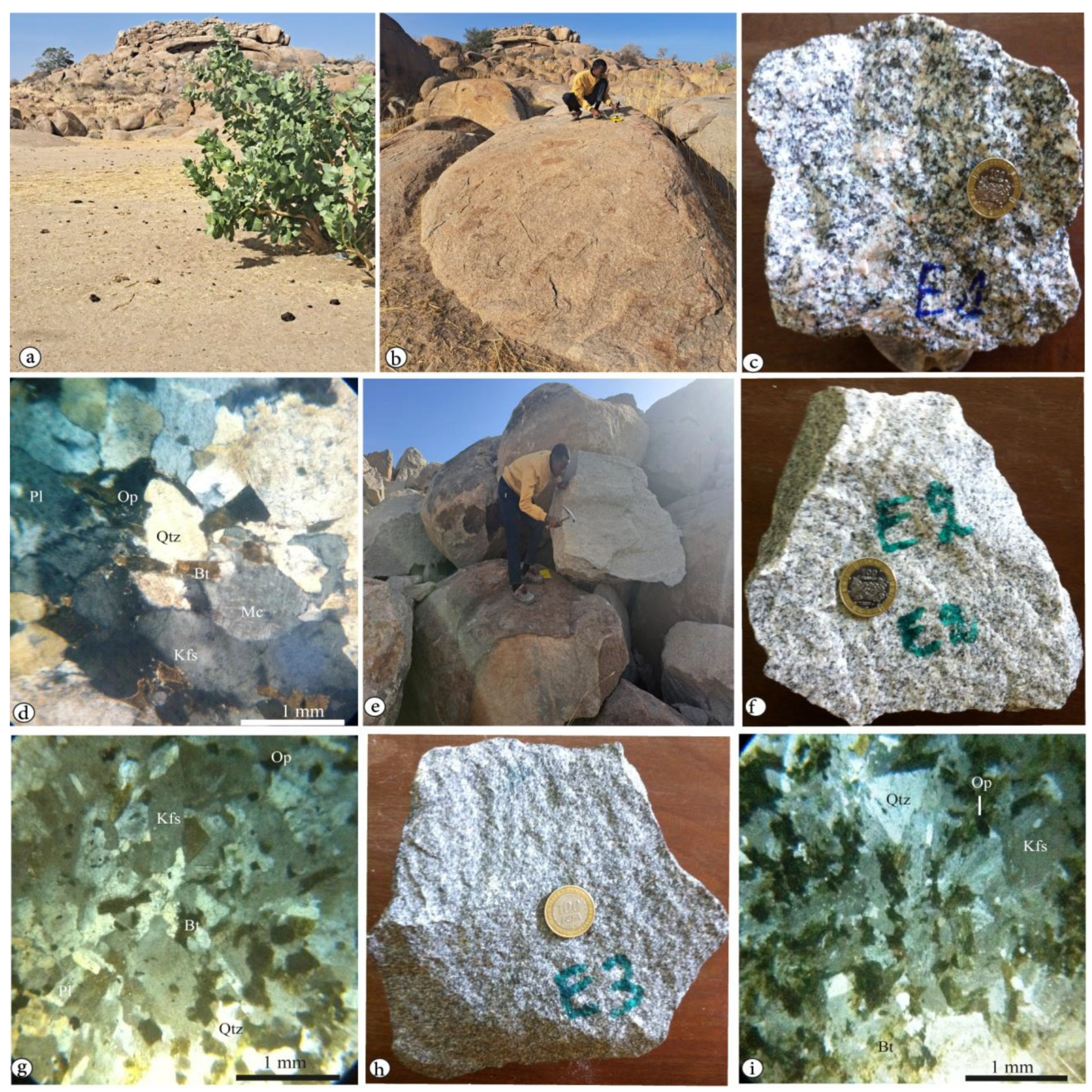 Preprints 95071 g003