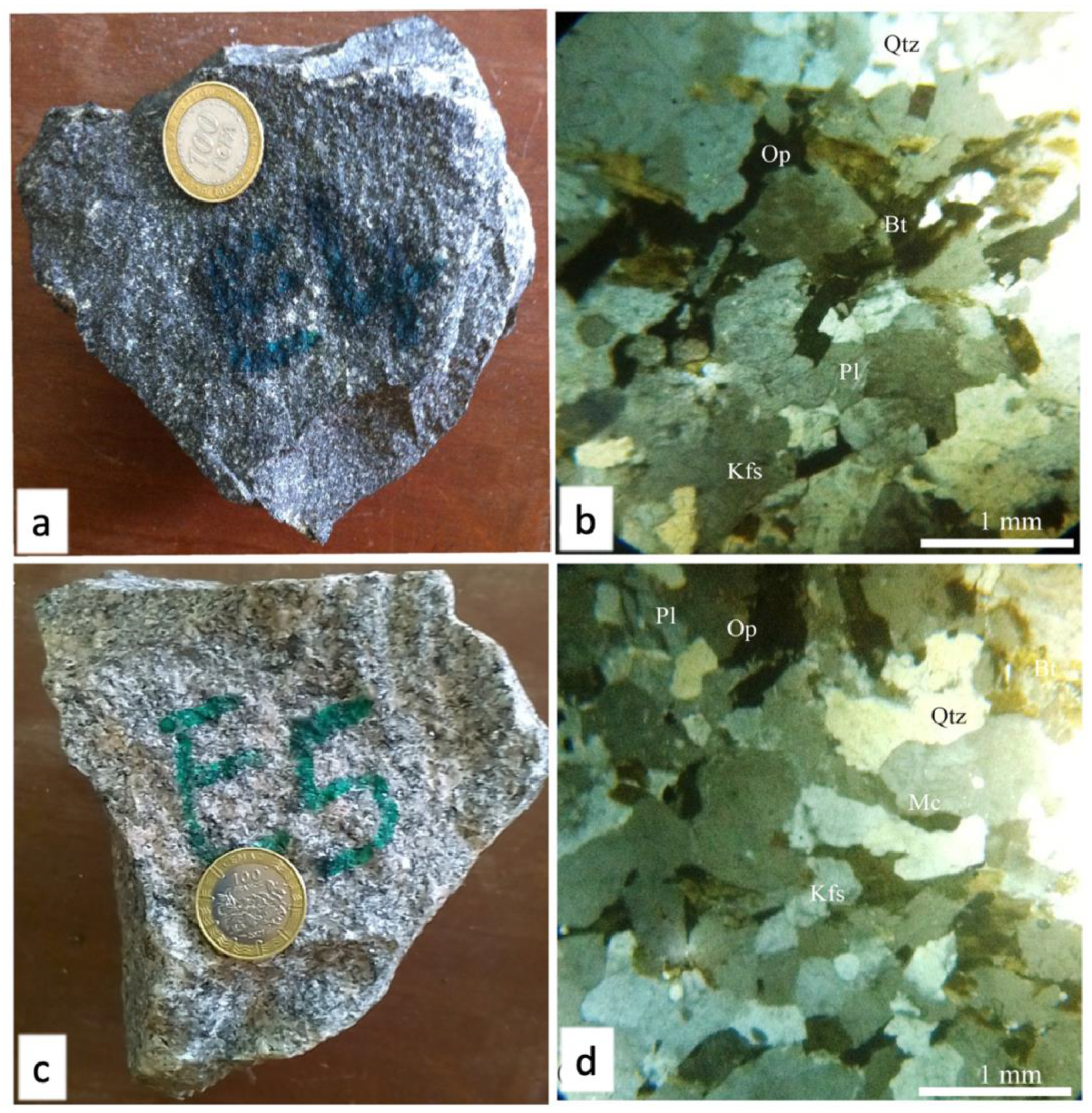 Preprints 95071 g004