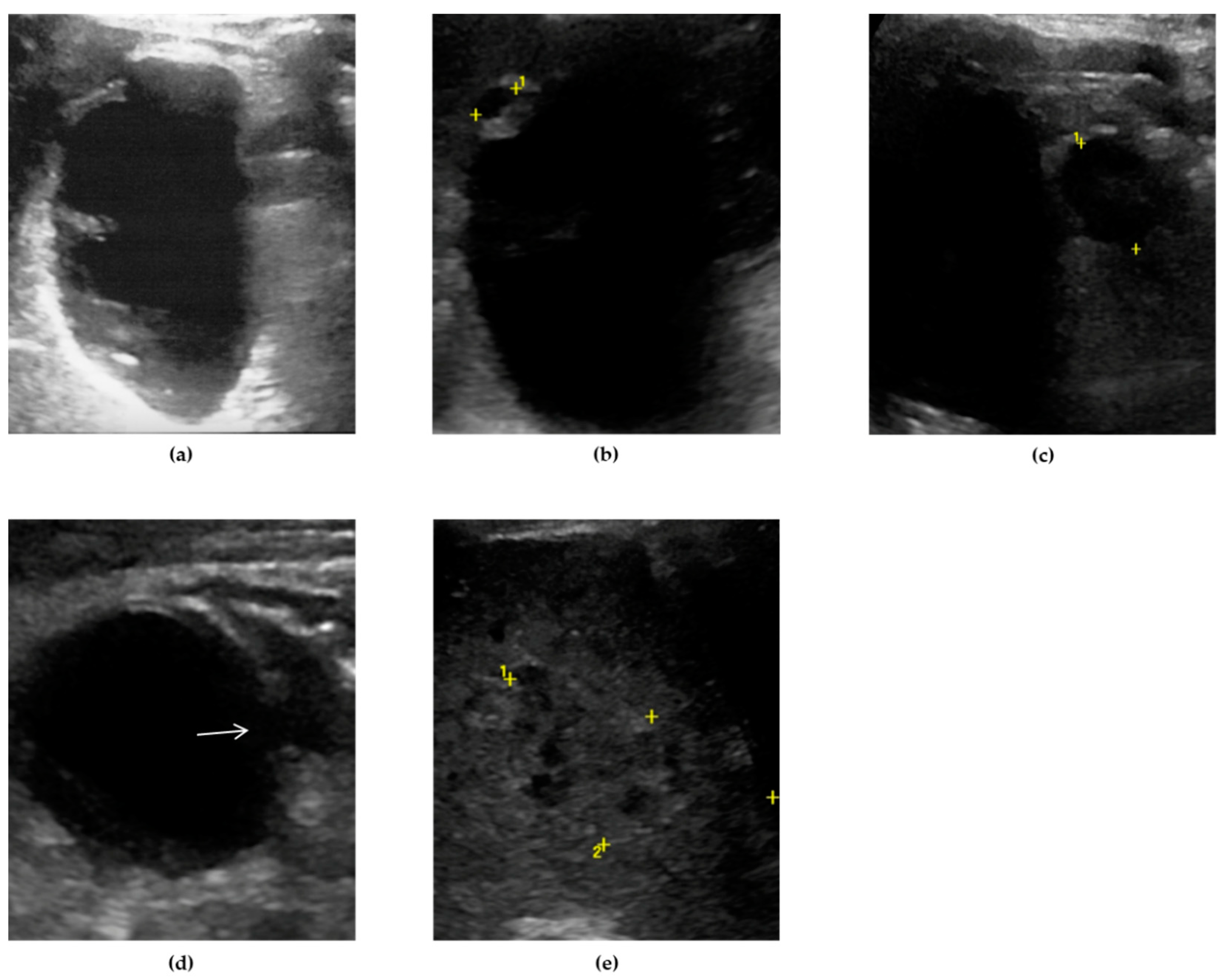 Preprints 91214 g003