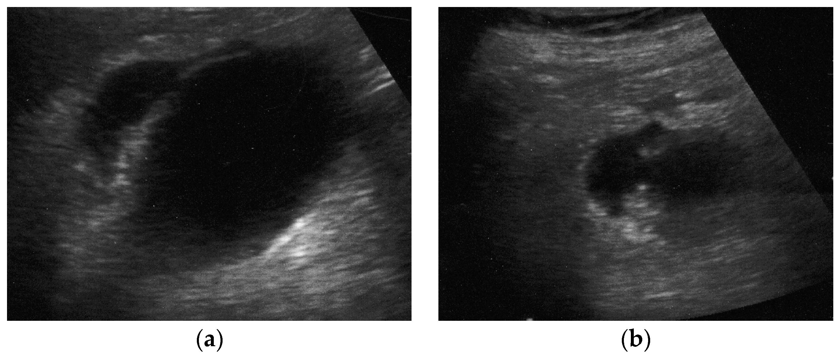 Preprints 91214 g004