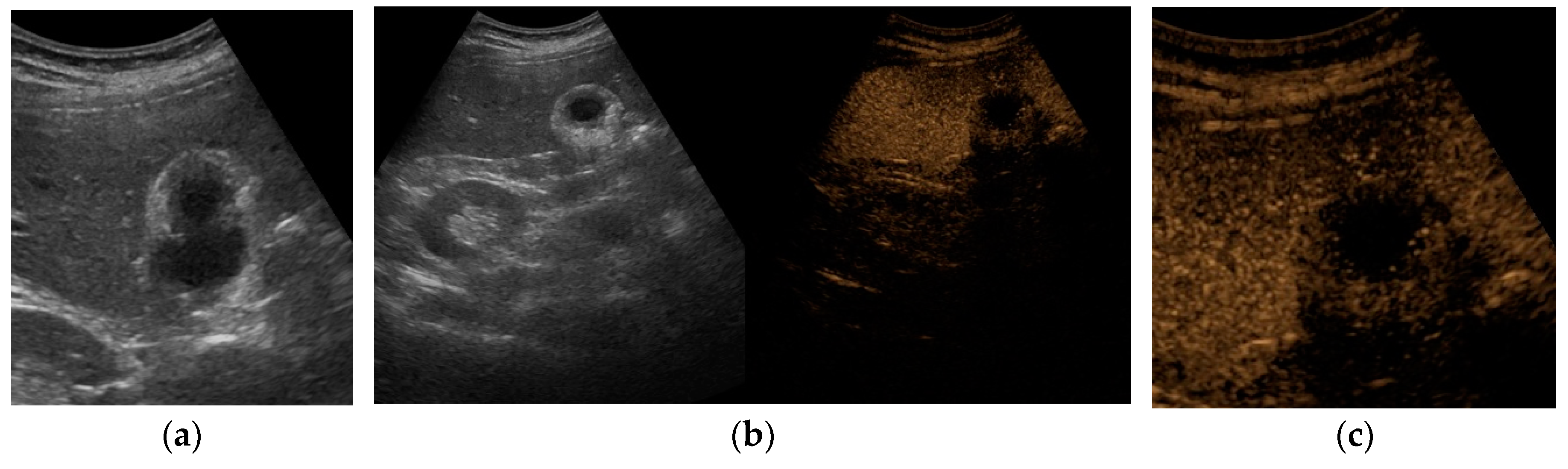 Preprints 91214 g005