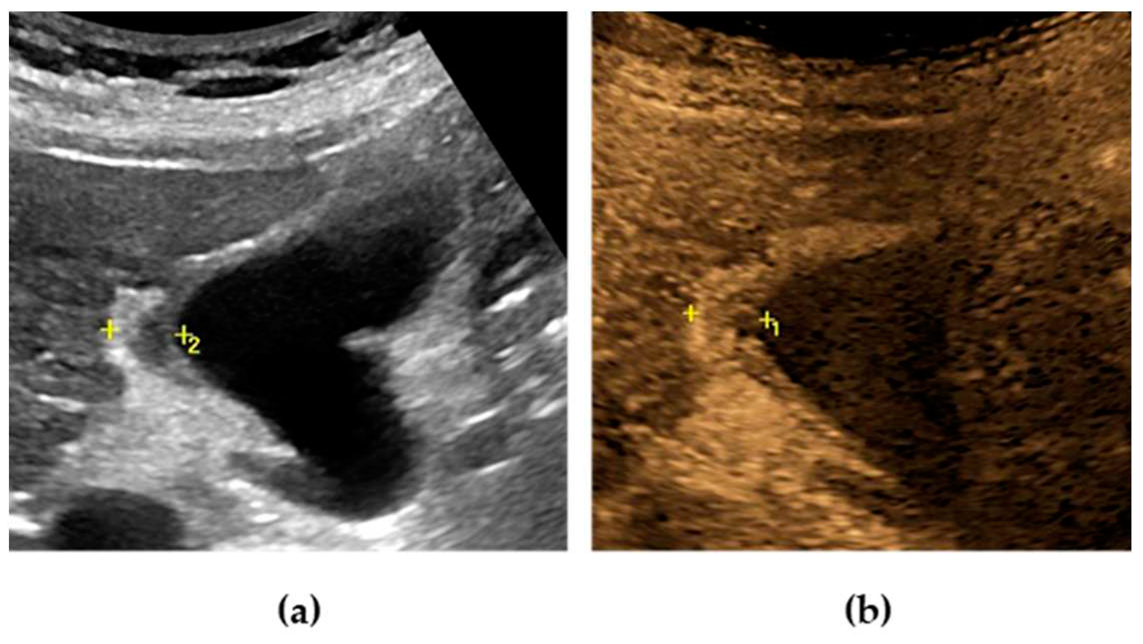 Preprints 91214 g007
