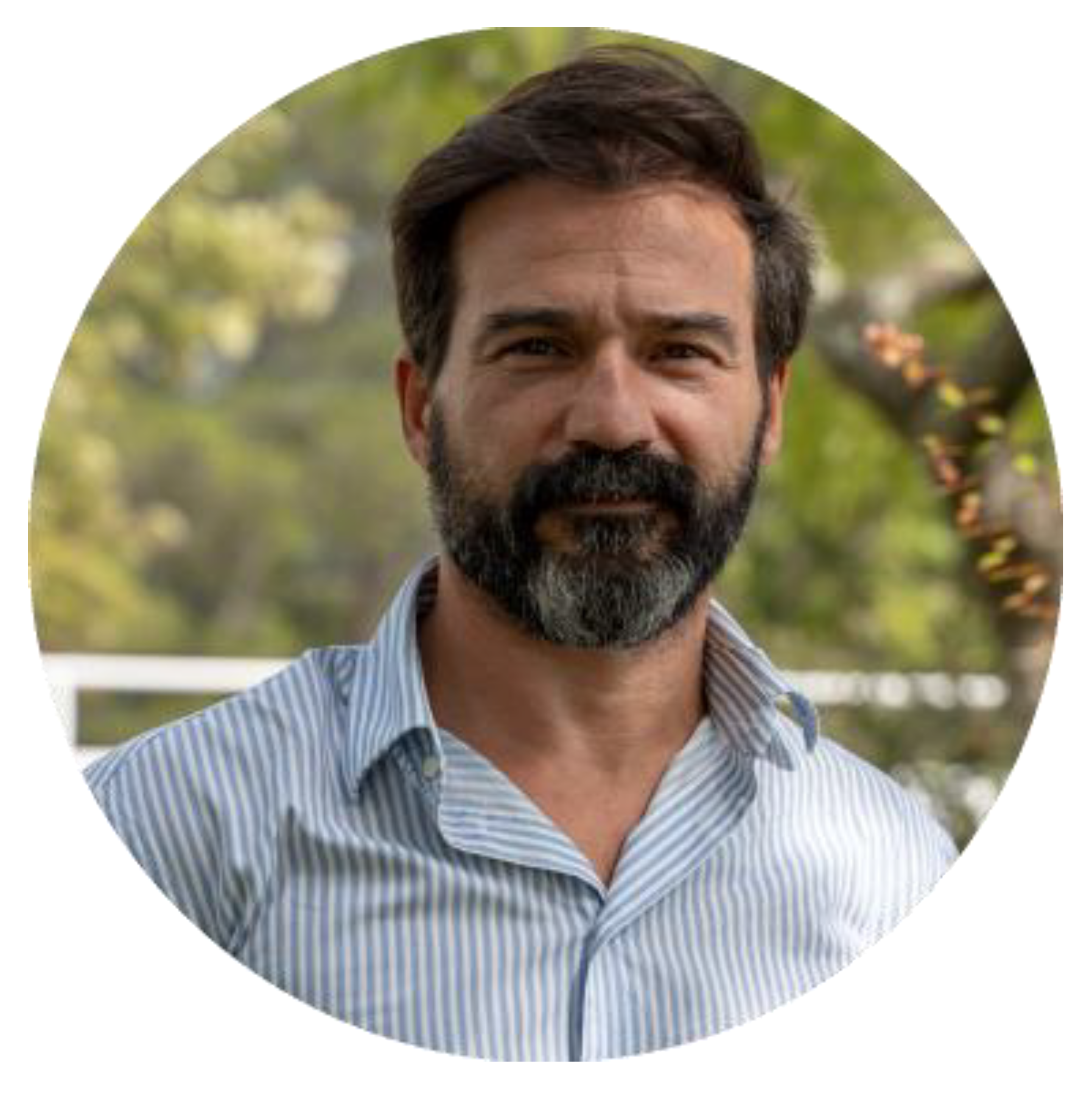 Preprints 158716 i001