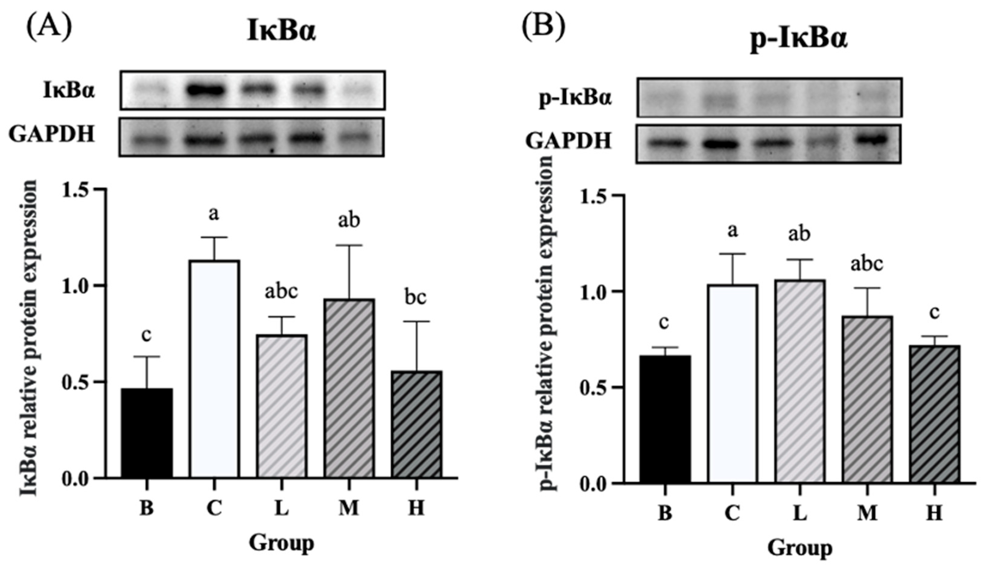 Preprints 195876 g009