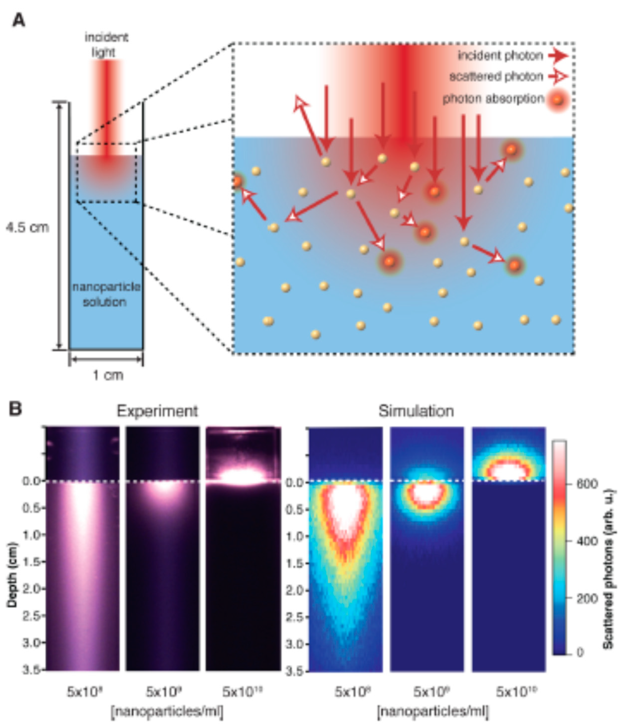 Preprints 90269 g004