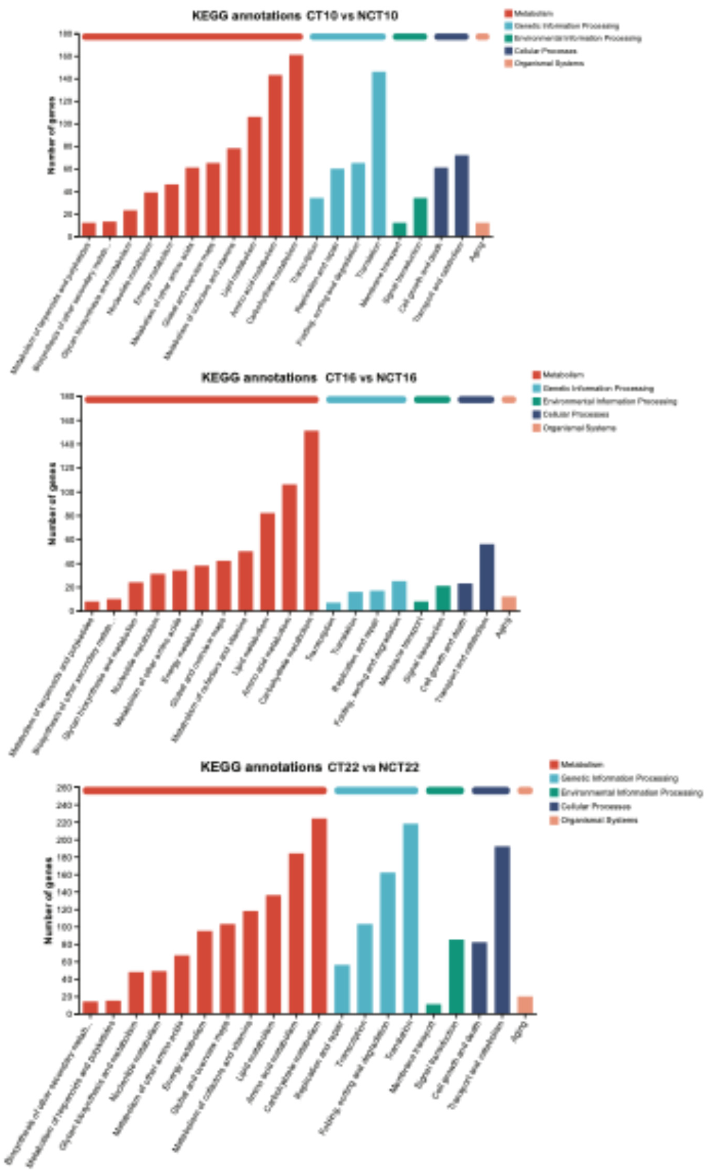Preprints 181094 g010