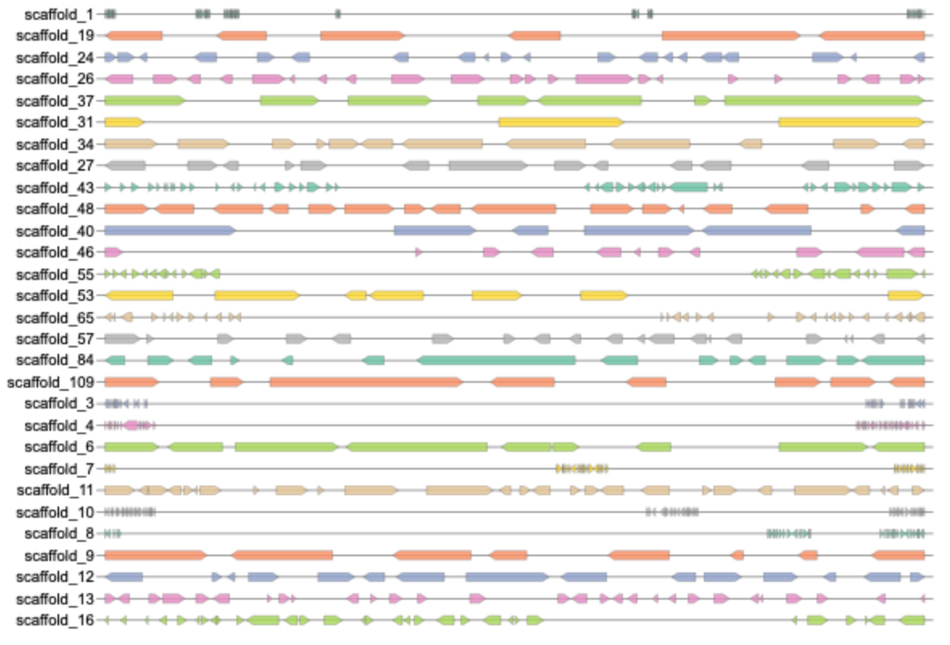 Preprints 181094 g012