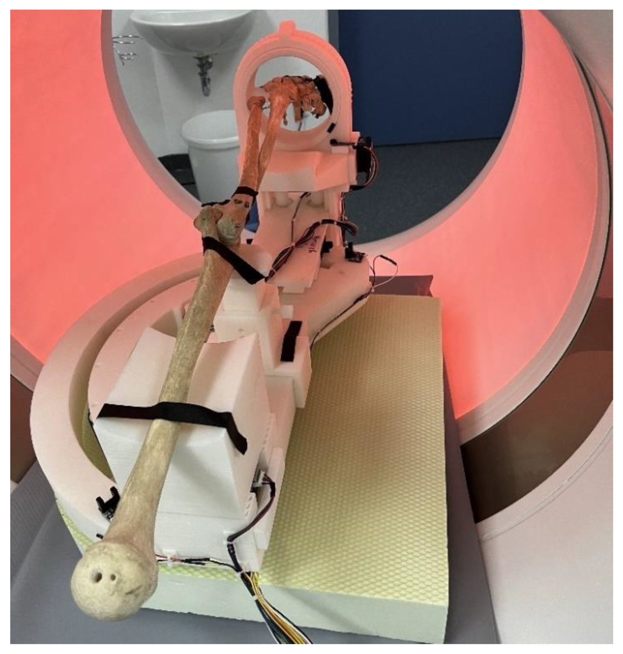 Preprints 159234 g006