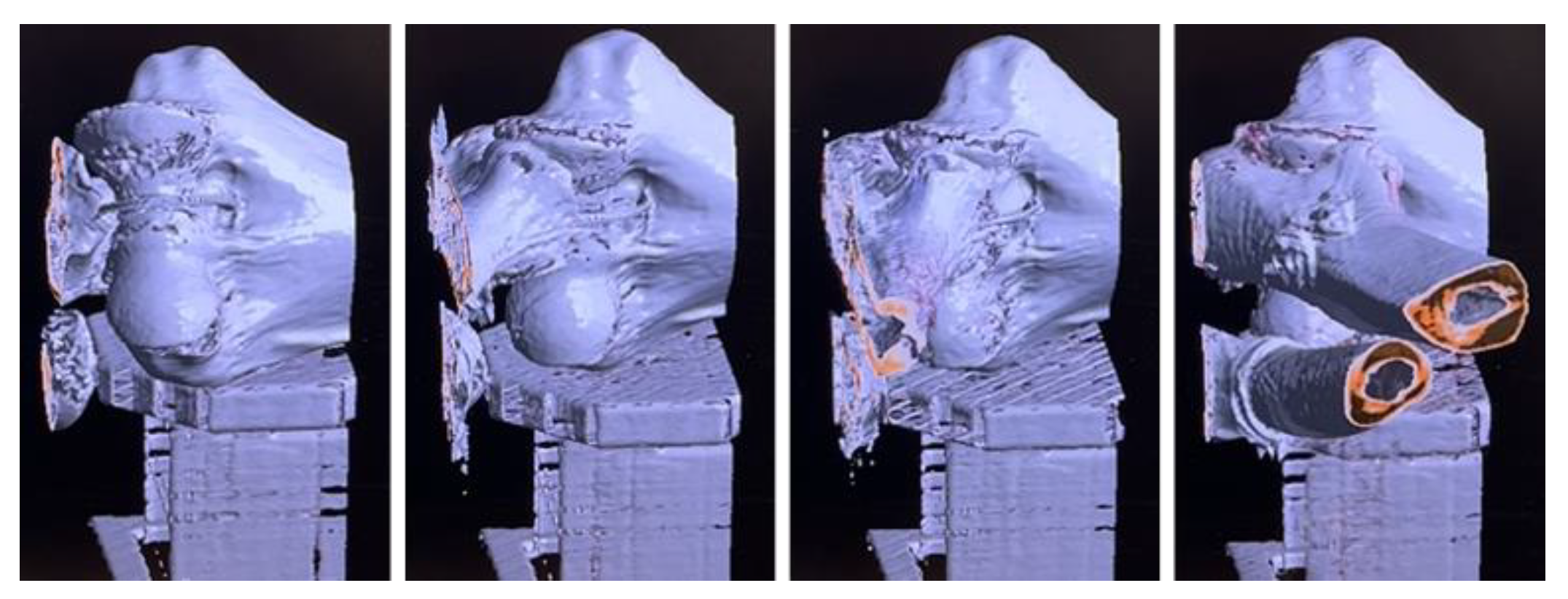 Preprints 159234 g007