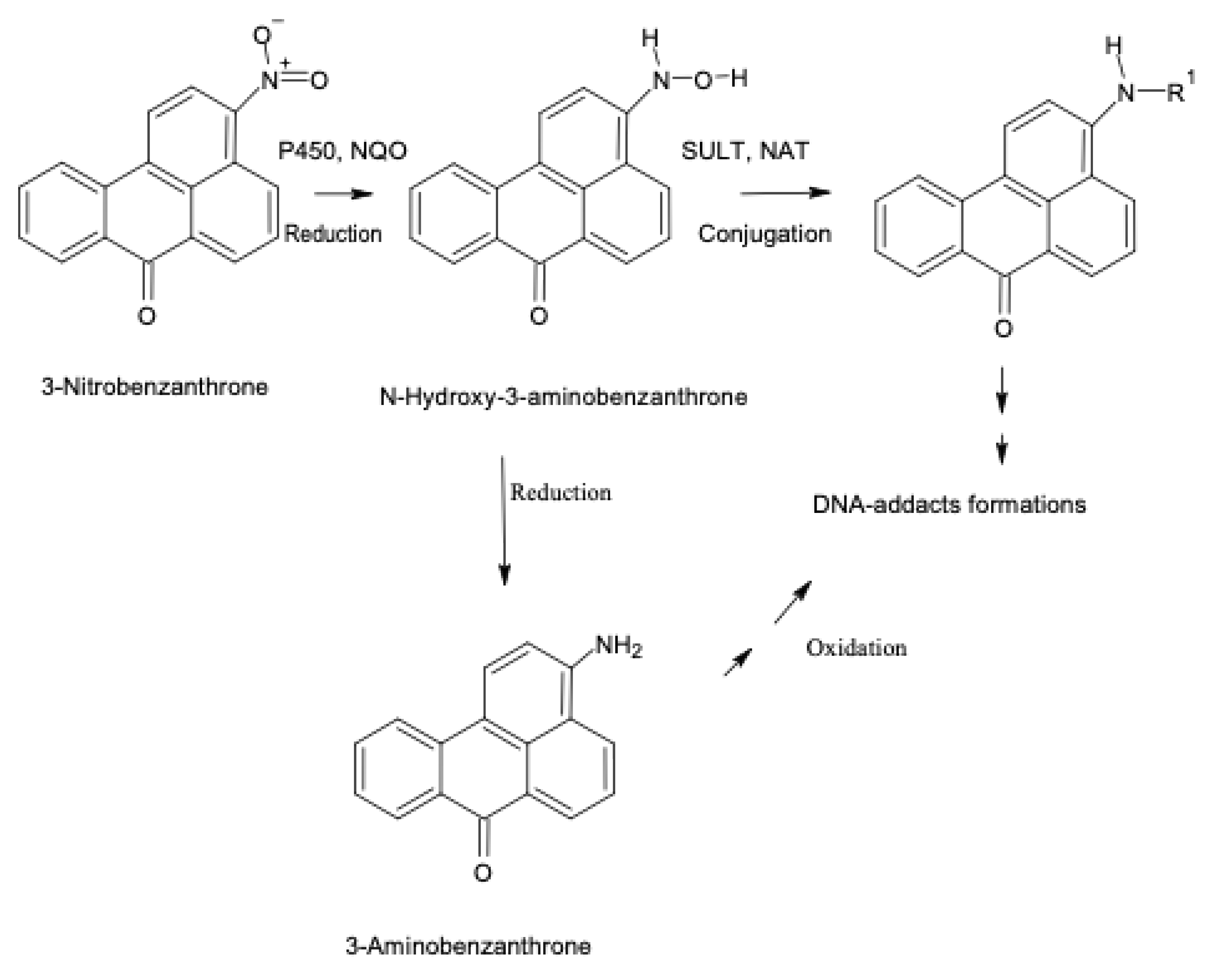 Preprints 142181 g002