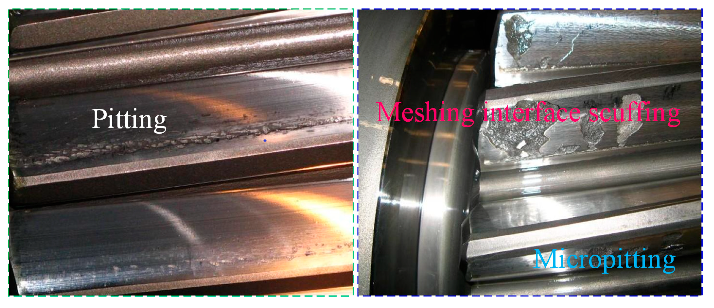 Preprints 178040 g002