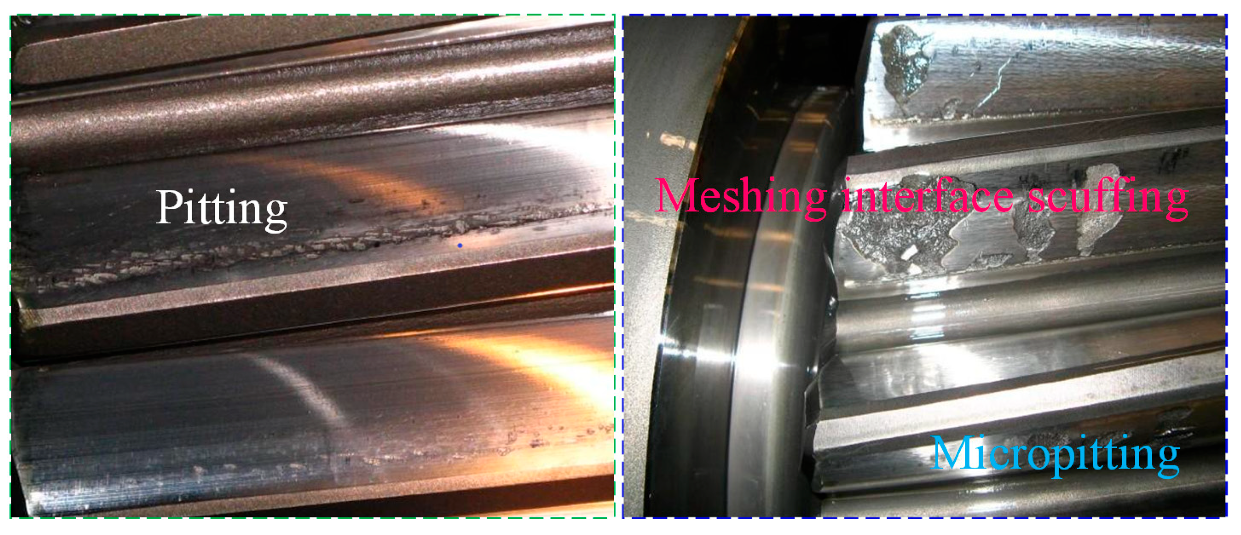 Preprints 178040 g012