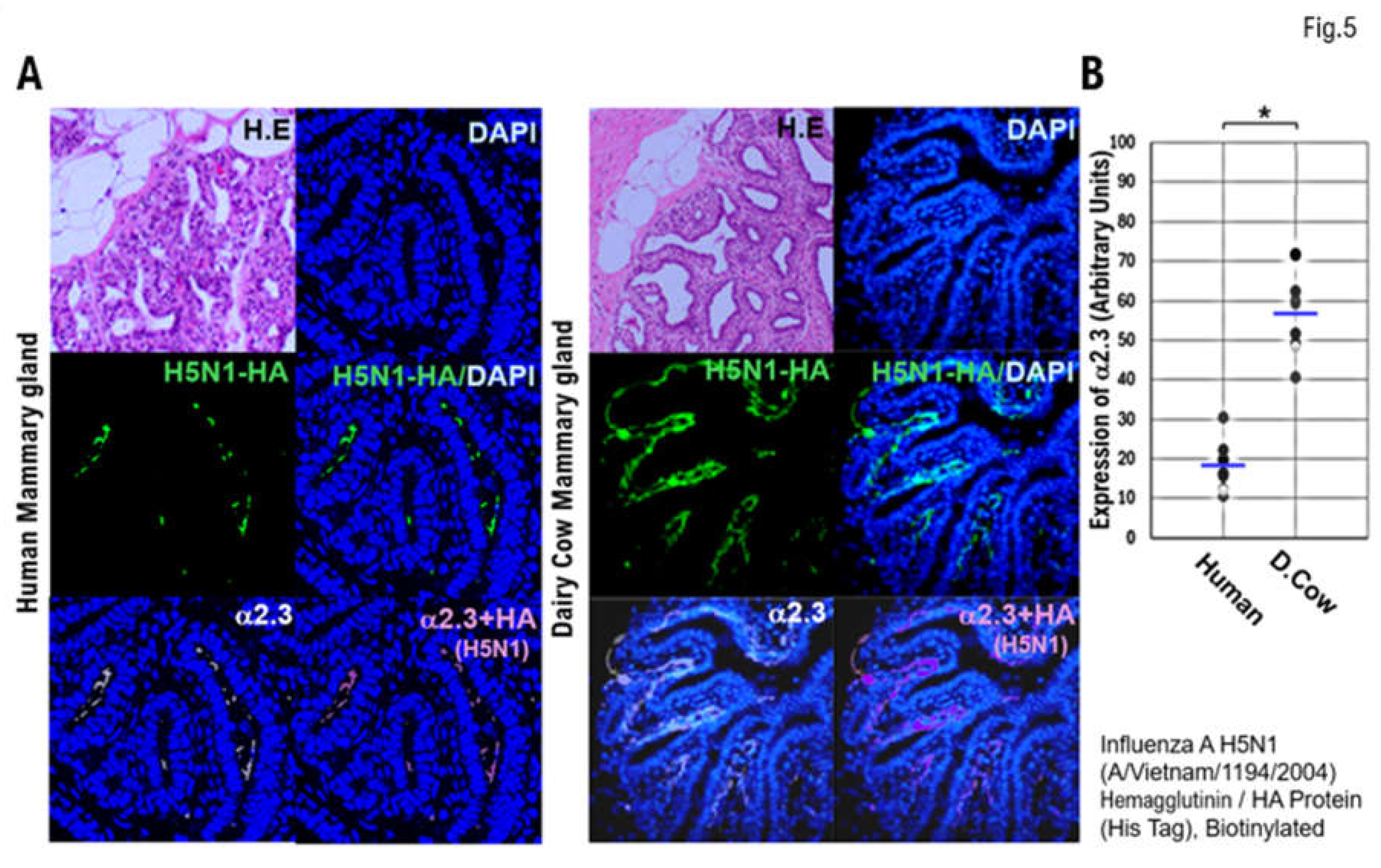 Preprints 153514 g005