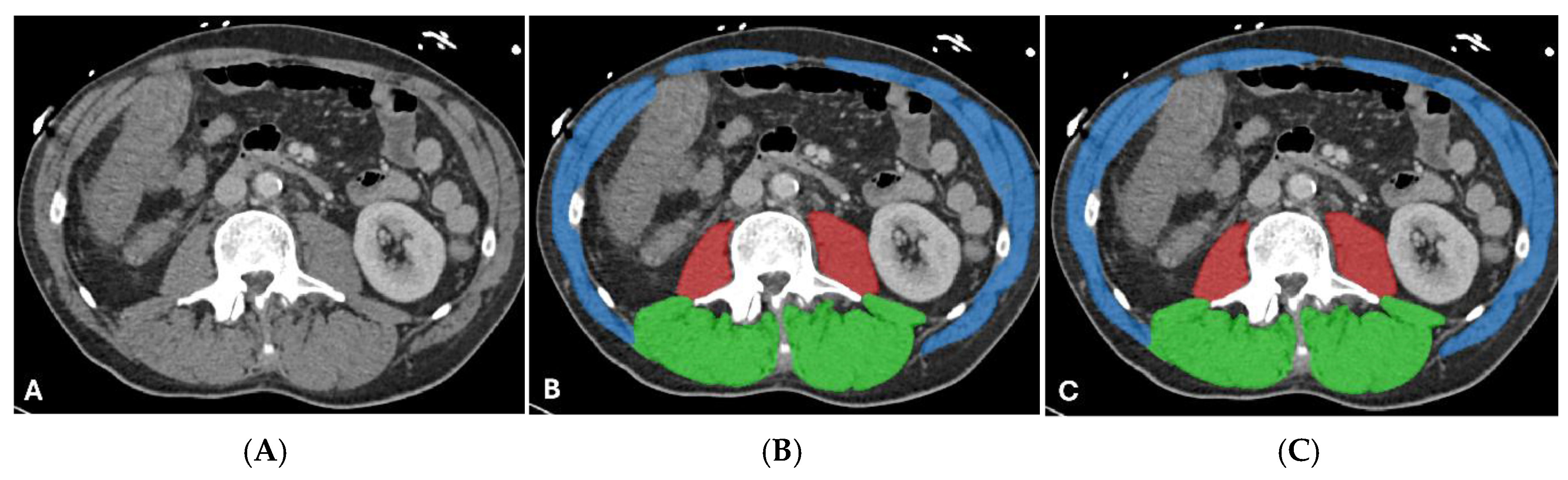 Preprints 200350 g008