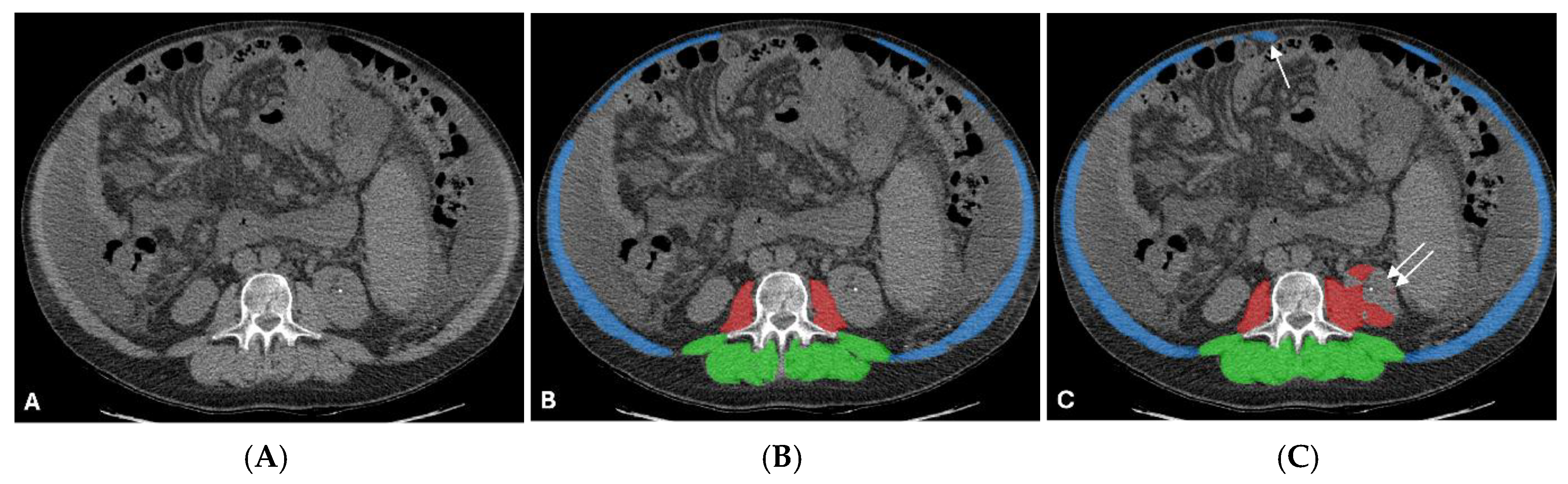 Preprints 200350 g009