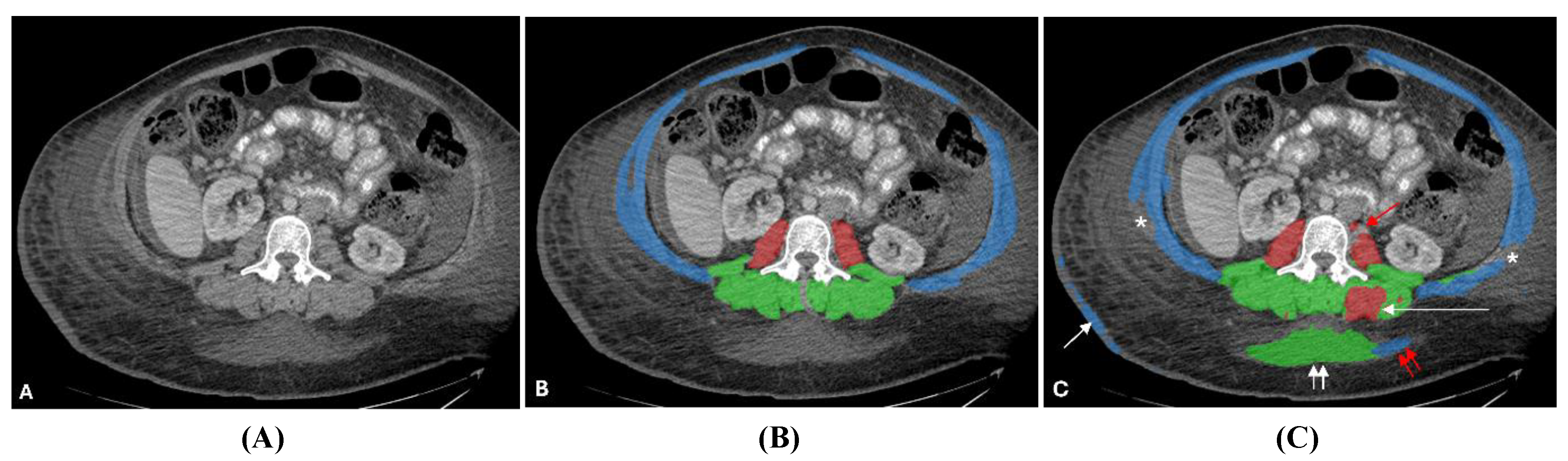 Preprints 200350 g010