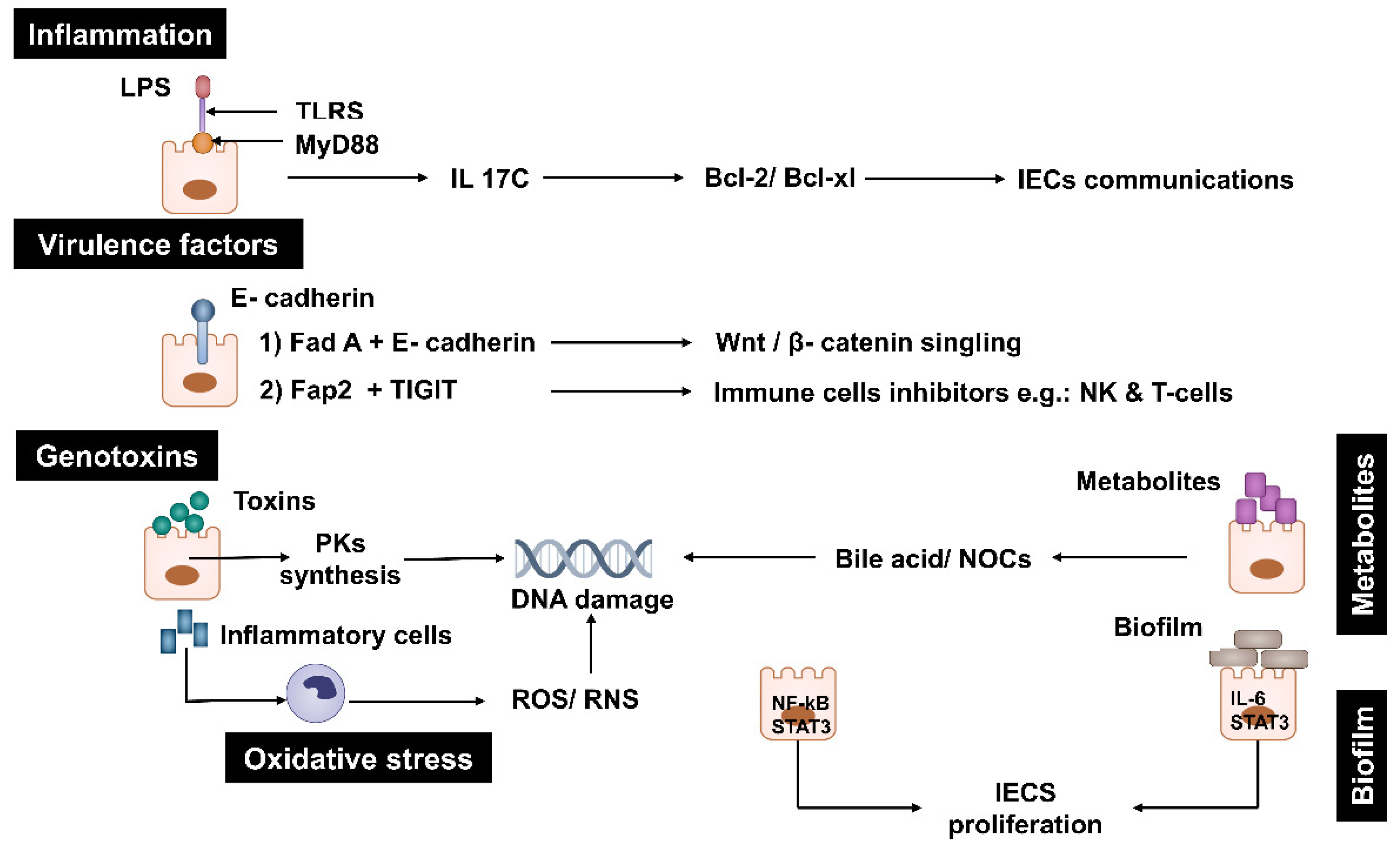 Preprints 162969 g001