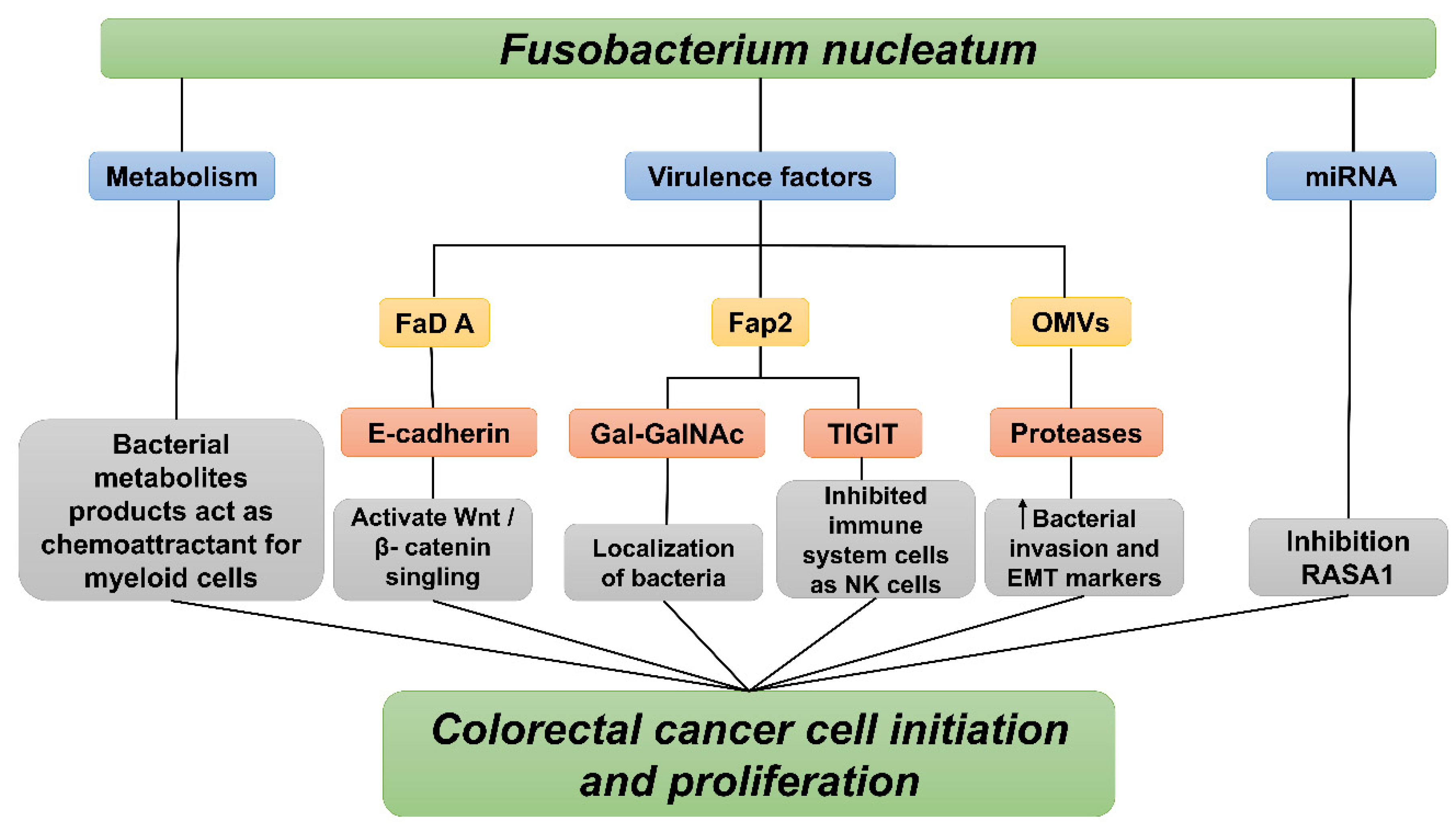 Preprints 162969 g003