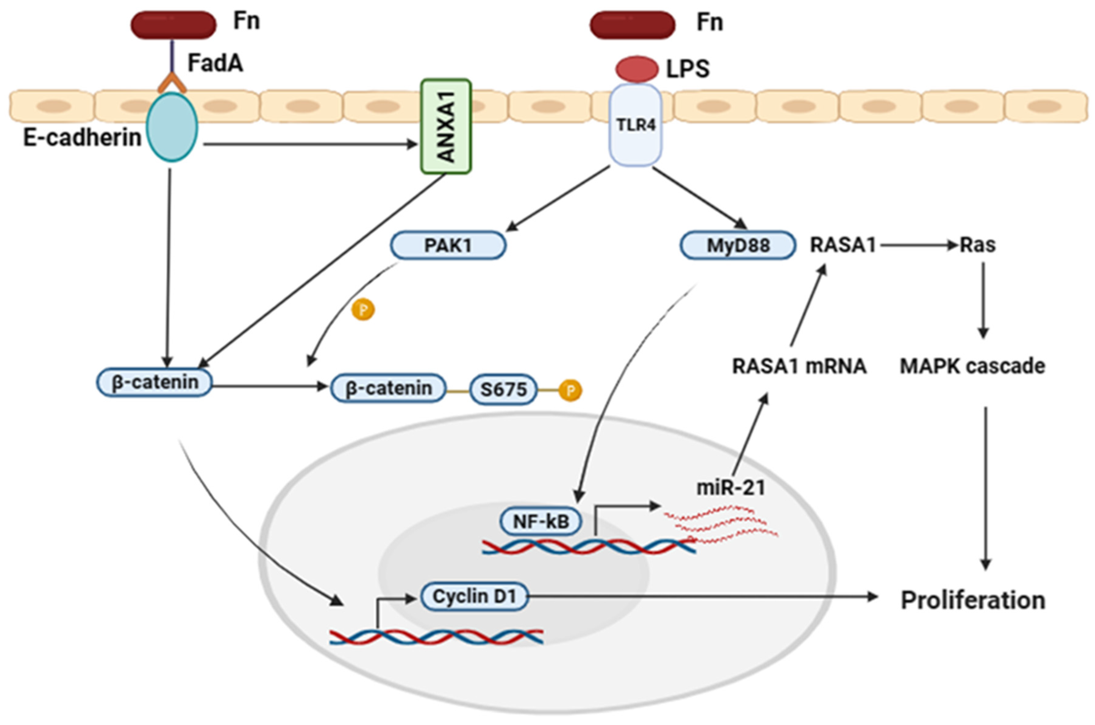 Preprints 162969 g004