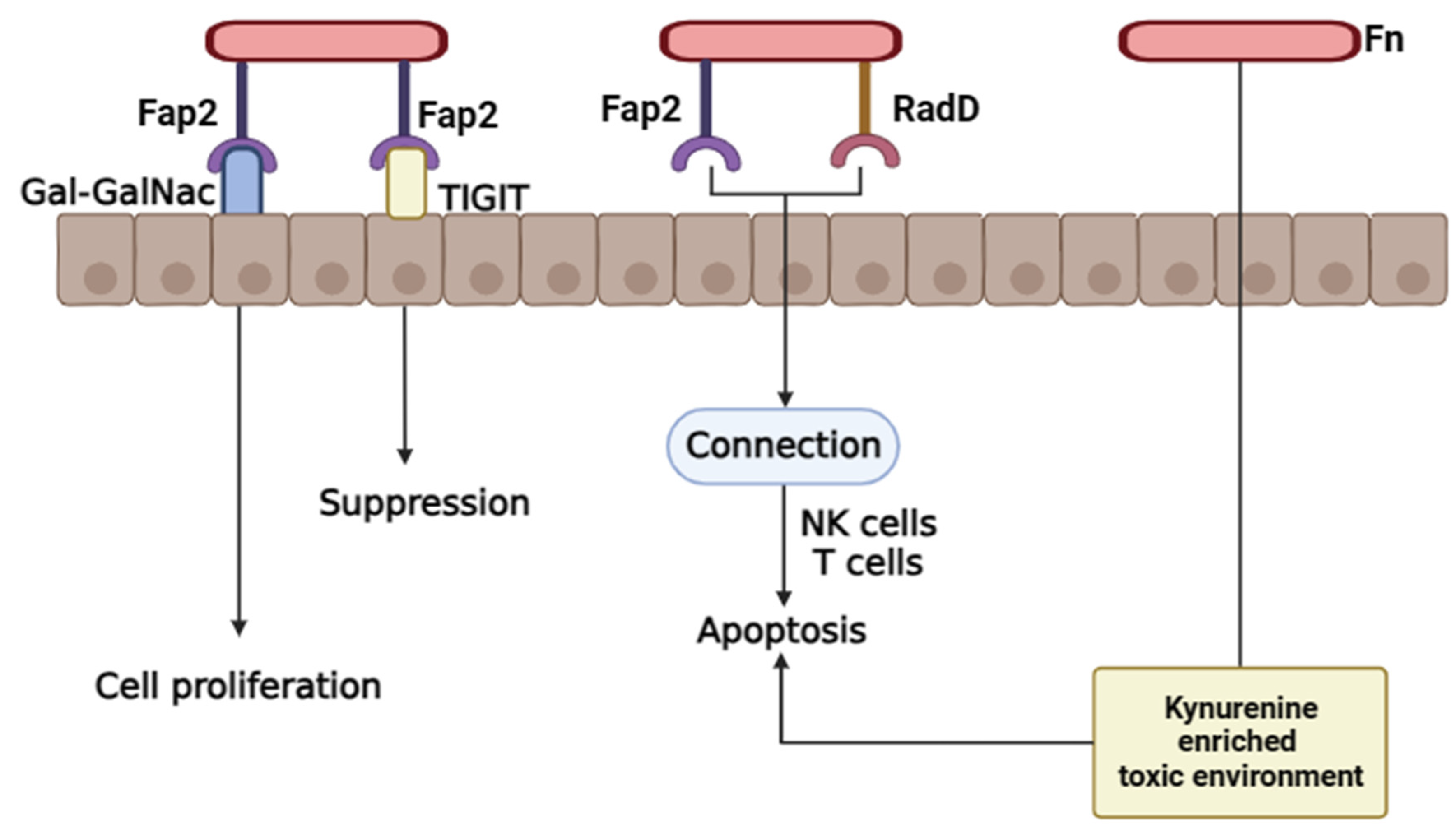 Preprints 162969 g005