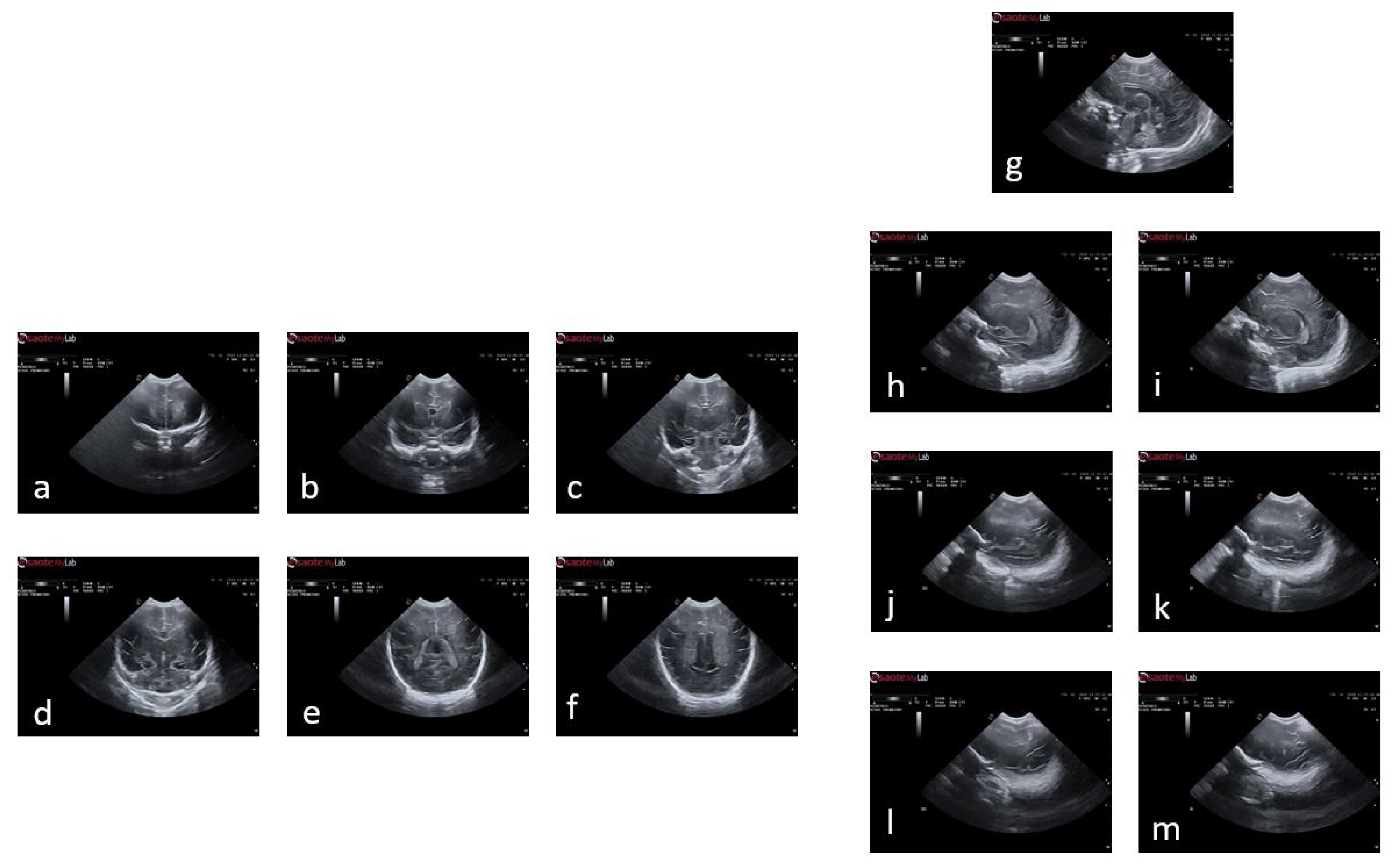 Preprints 73270 g002