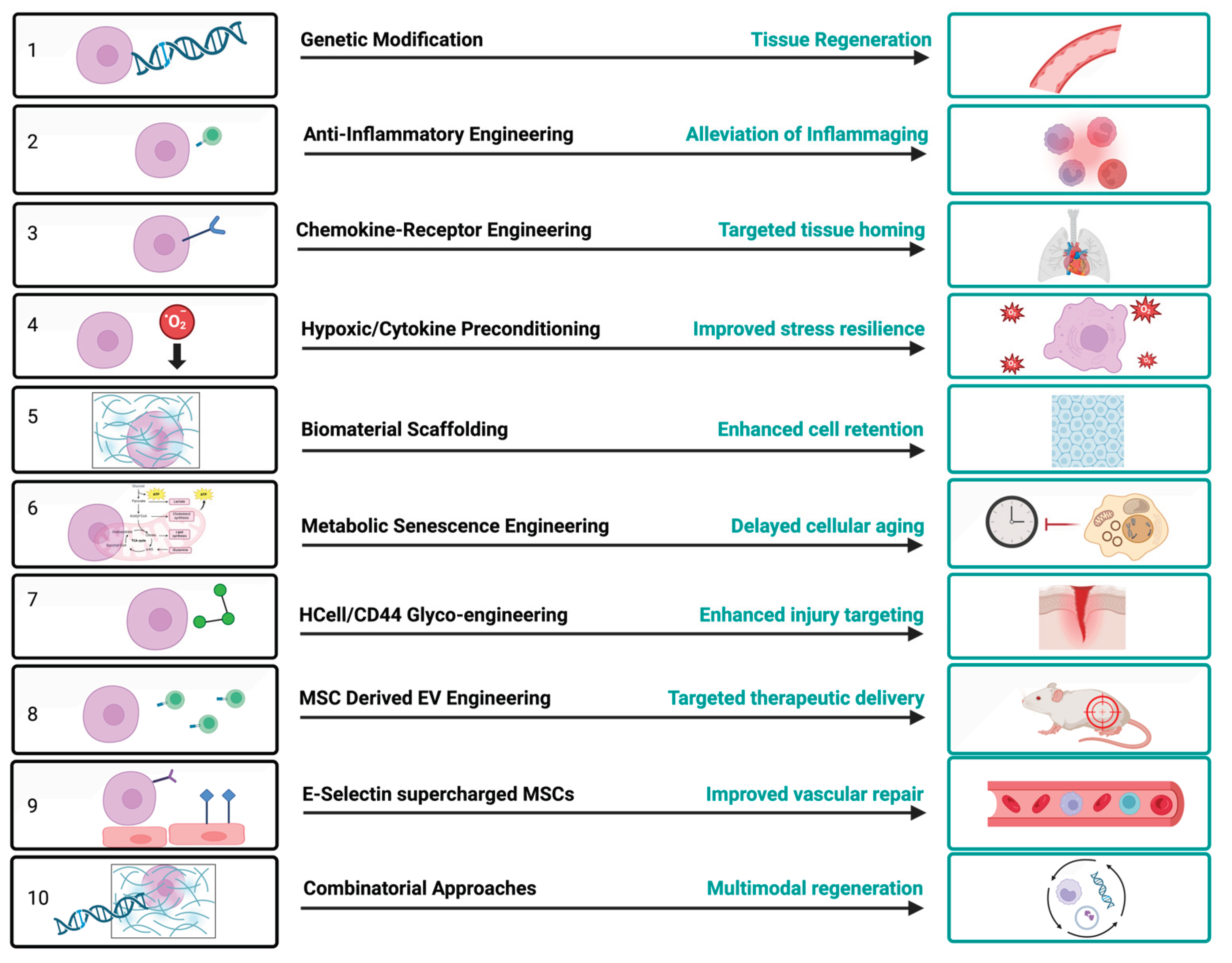 Preprints 220646 g001 Preprints 220646 g001