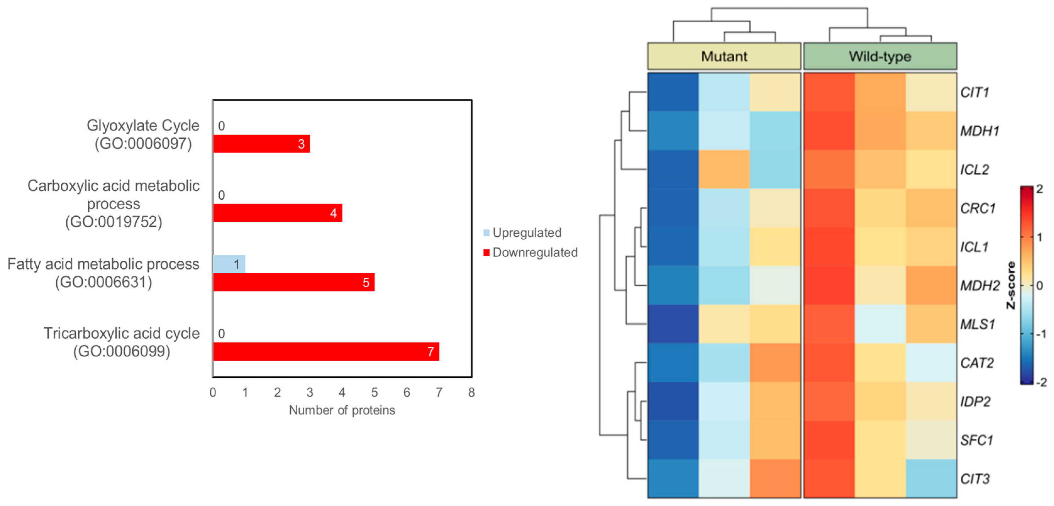 Preprints 196659 g001