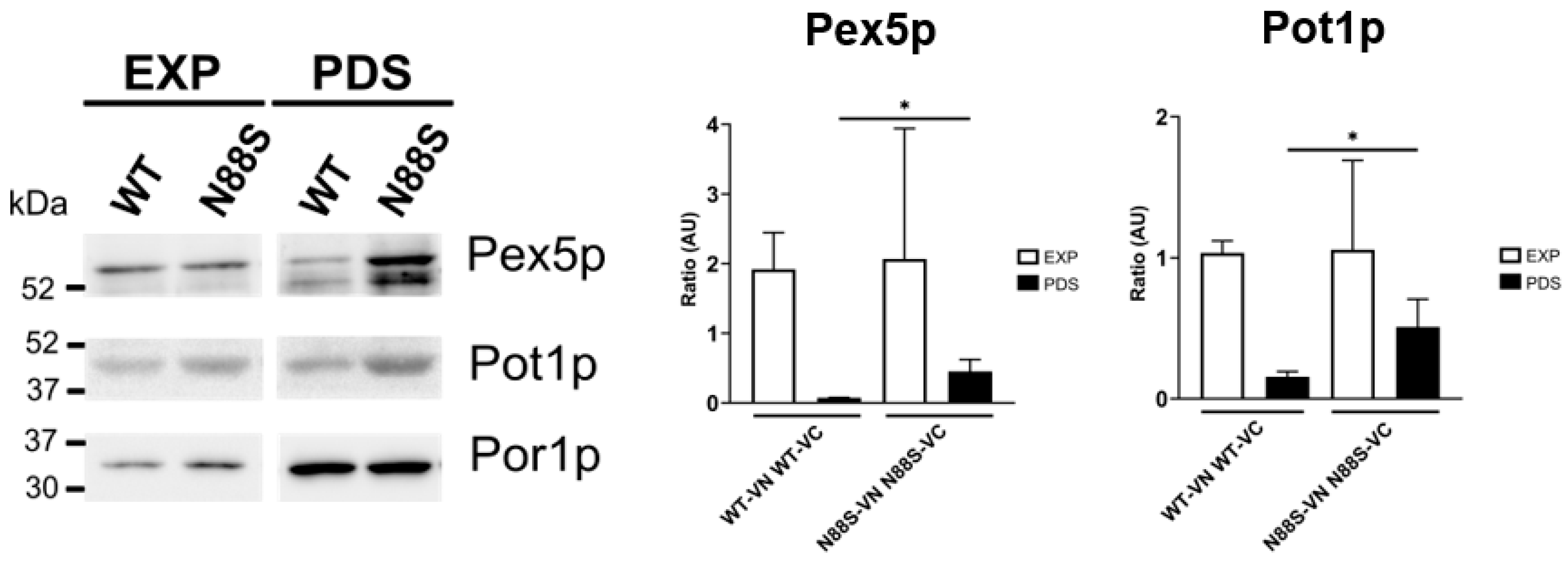 Preprints 196659 g005