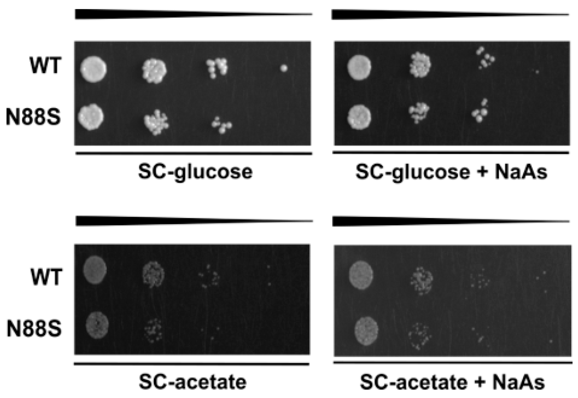 Preprints 196659 g010