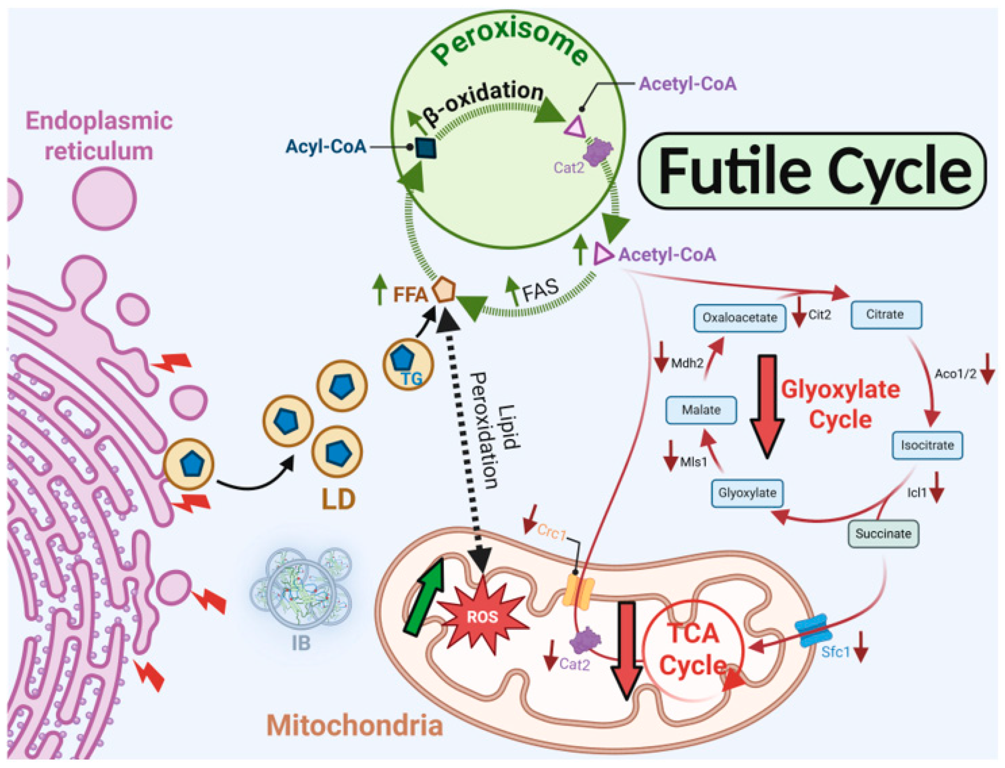 Preprints 196659 g017