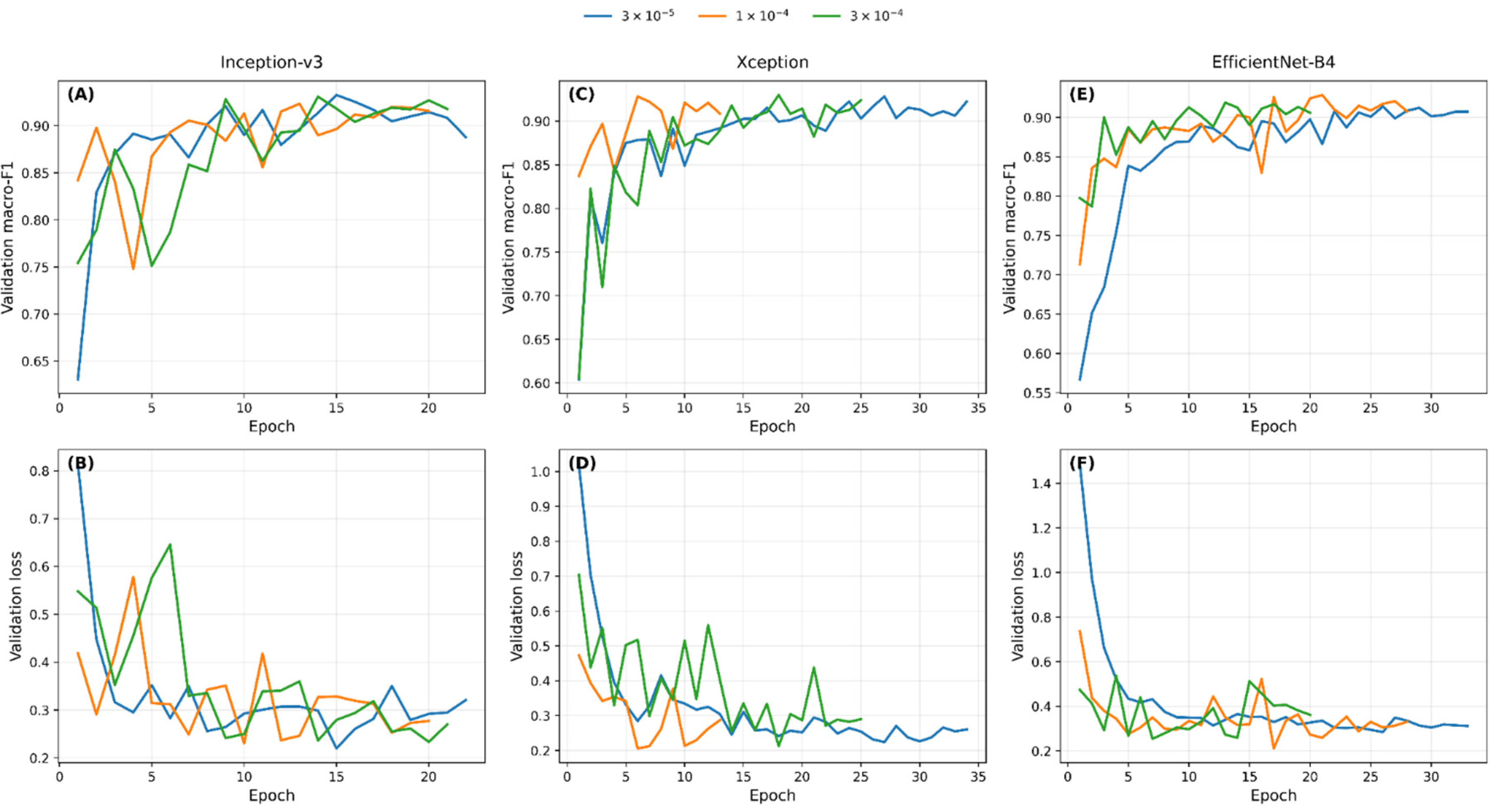 Preprints 215616 g002 Preprints 215616 g002
