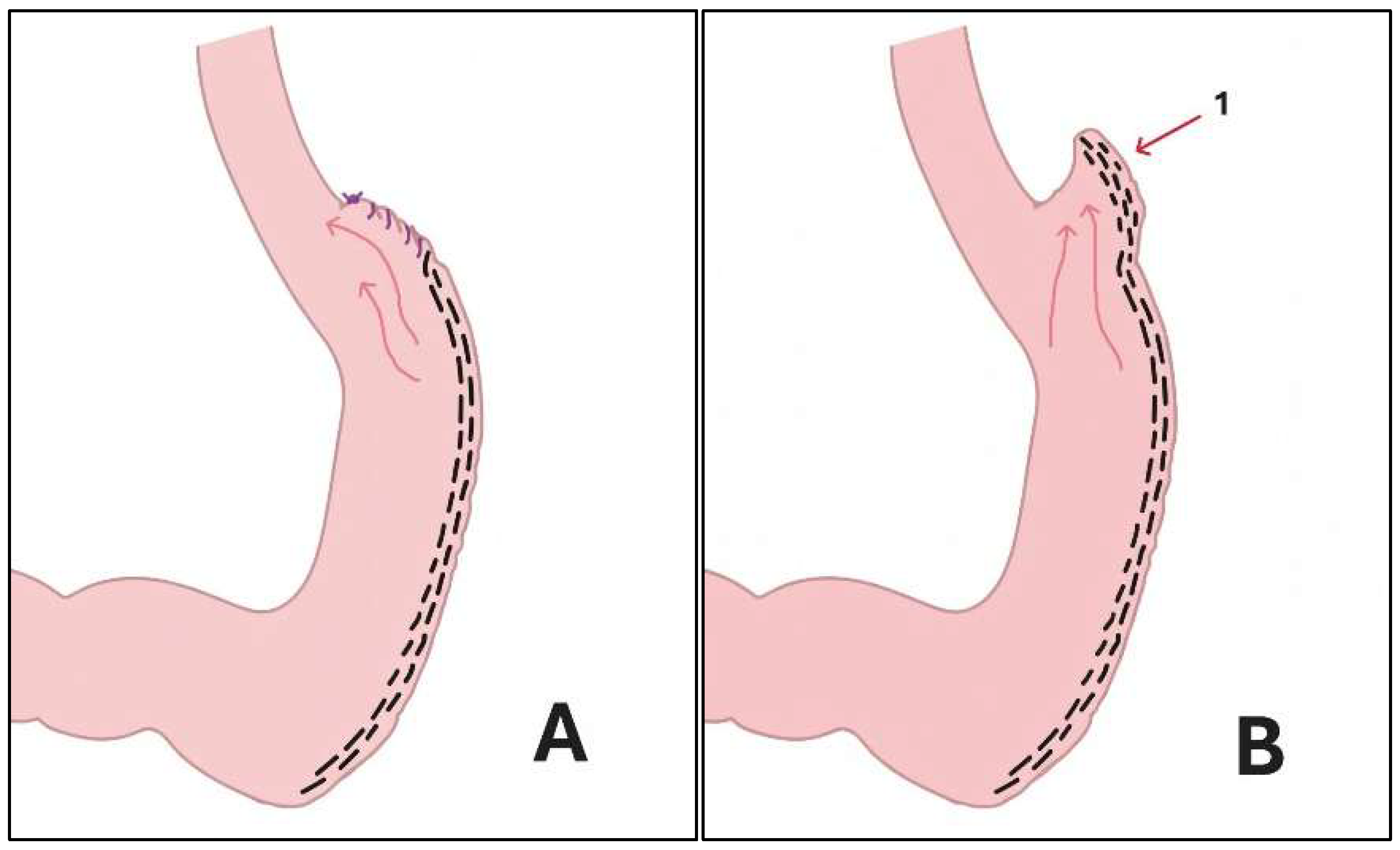 Preprints 209118 g001a