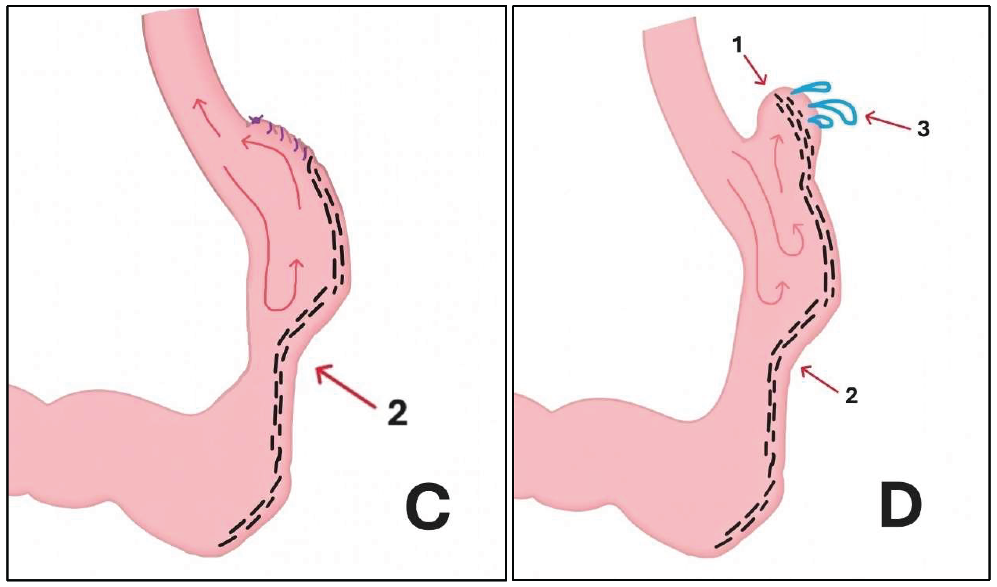 Preprints 209118 g001b