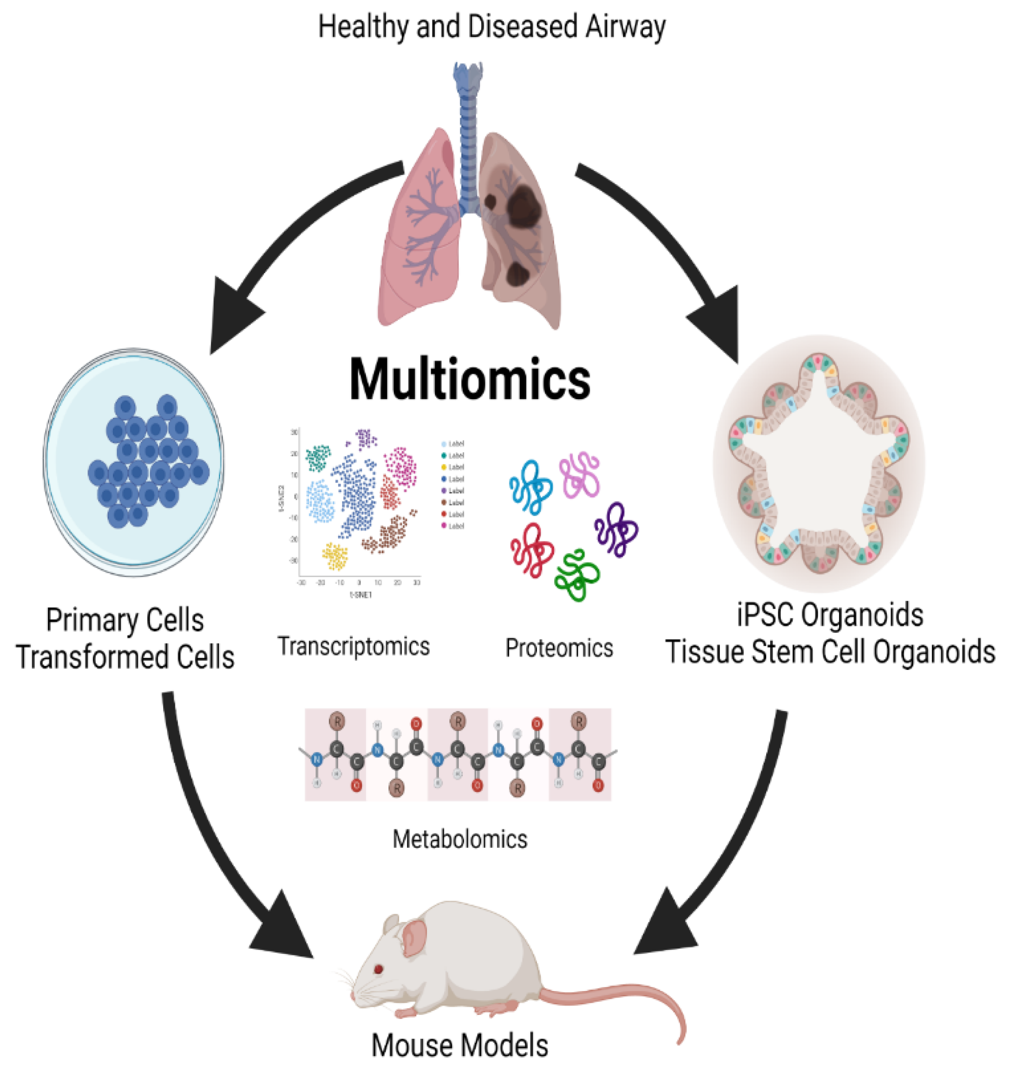Preprints 72965 g002