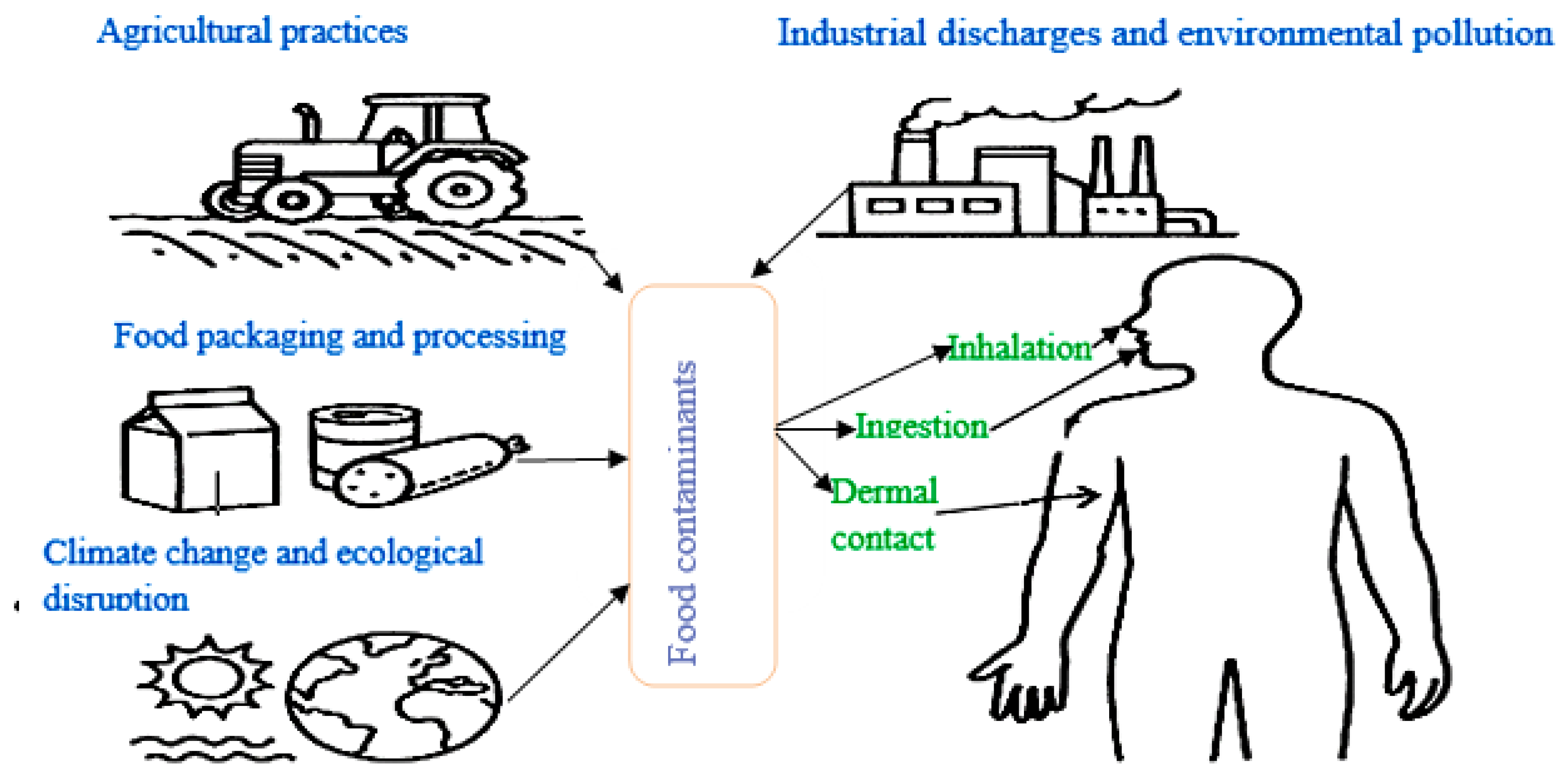 Preprints 167539 g003