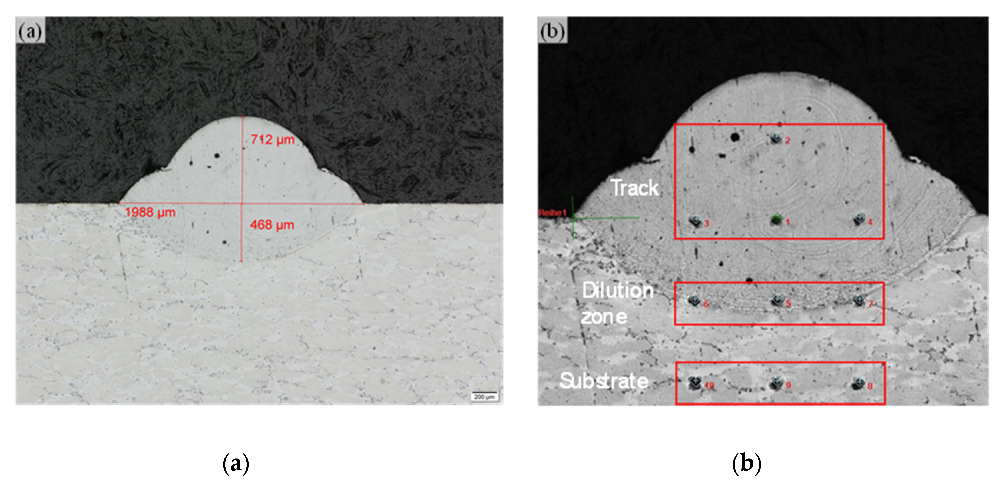 Preprints 164951 g006