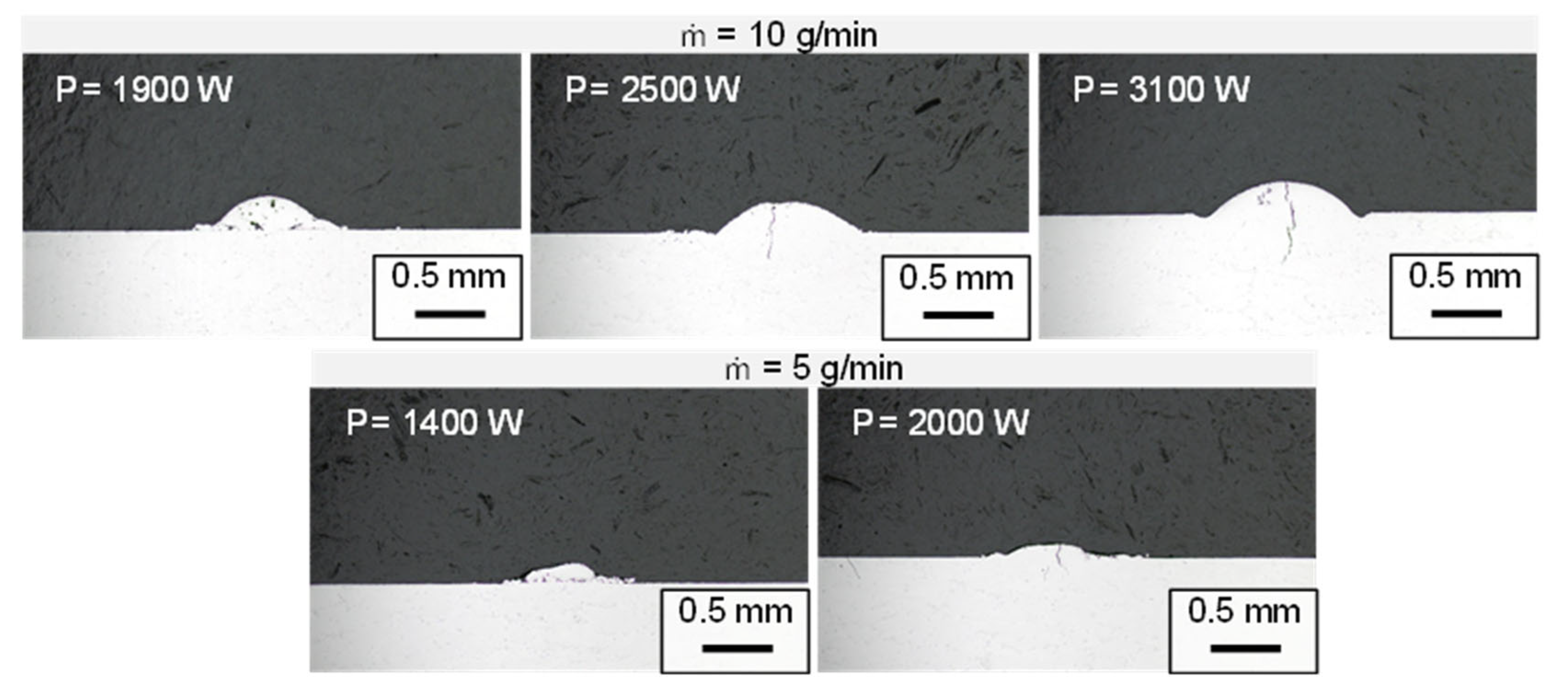 Preprints 164951 g007