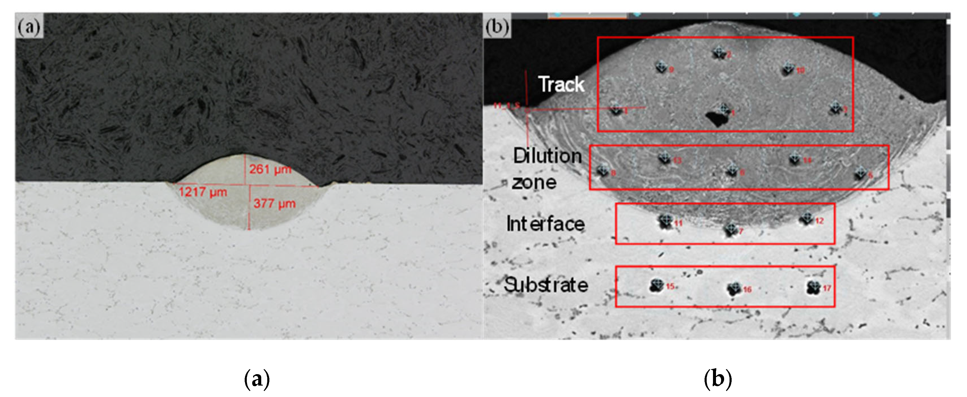 Preprints 164951 g009