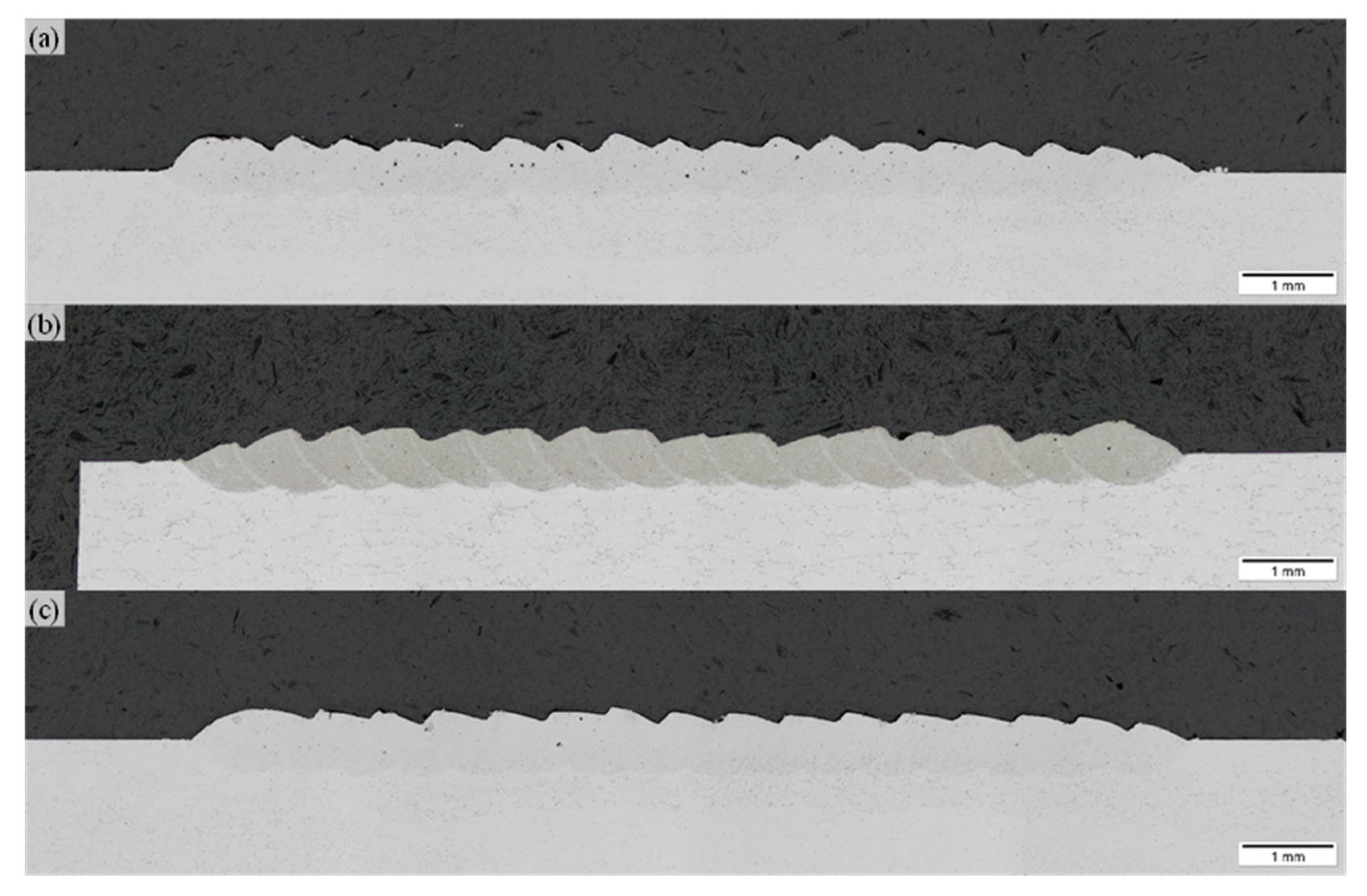 Preprints 164951 g011