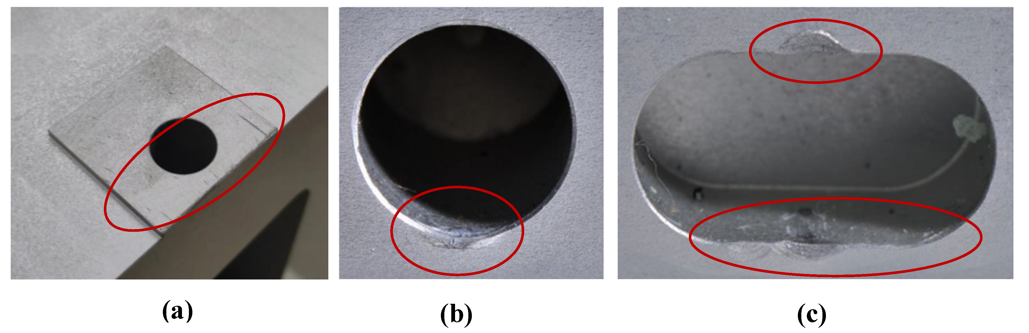 Preprints 164951 g013