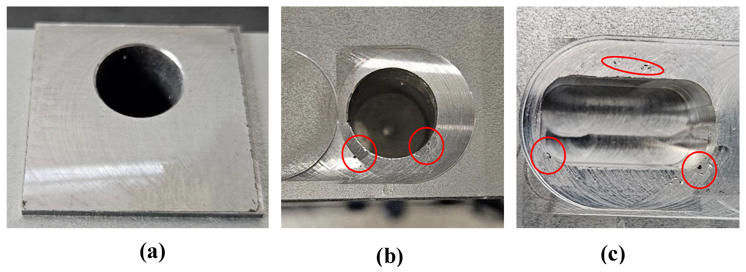 Preprints 164951 g016
