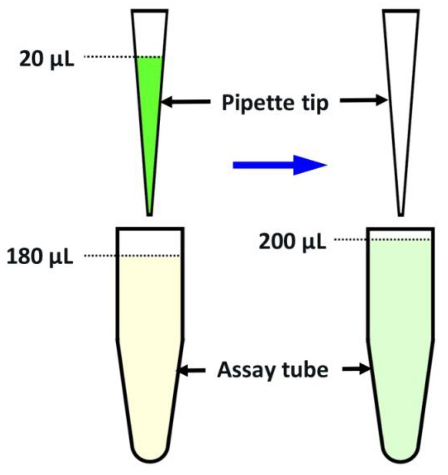 Preprints 153648 g004