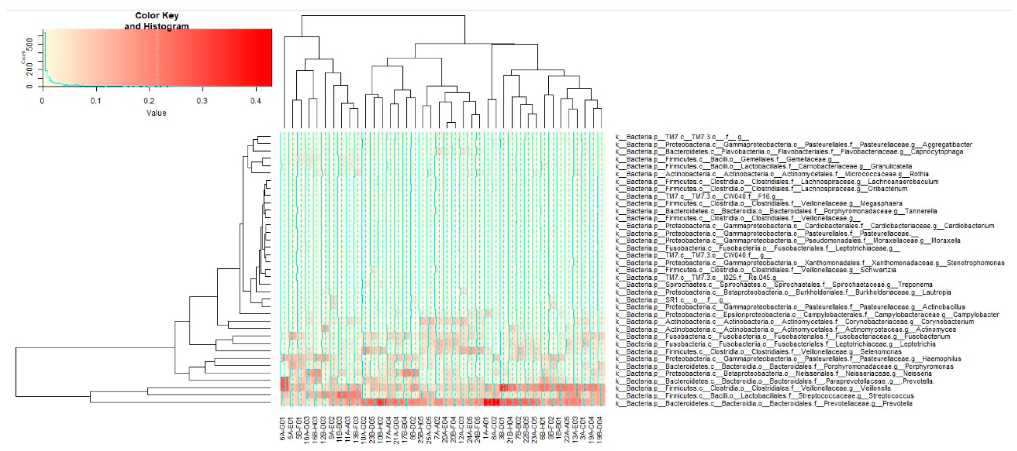 Preprints 108103 g004