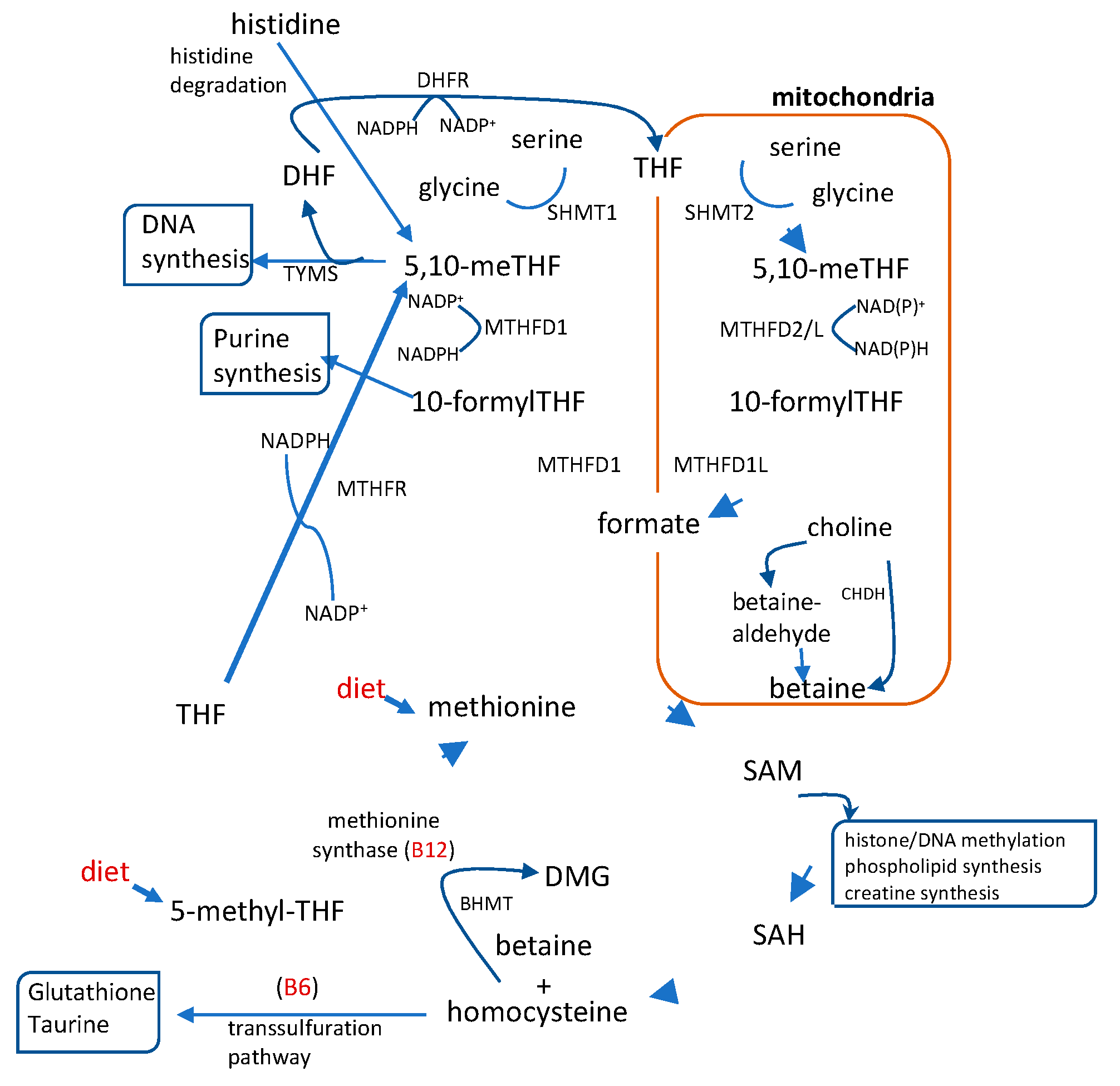 Preprints 167056 g001