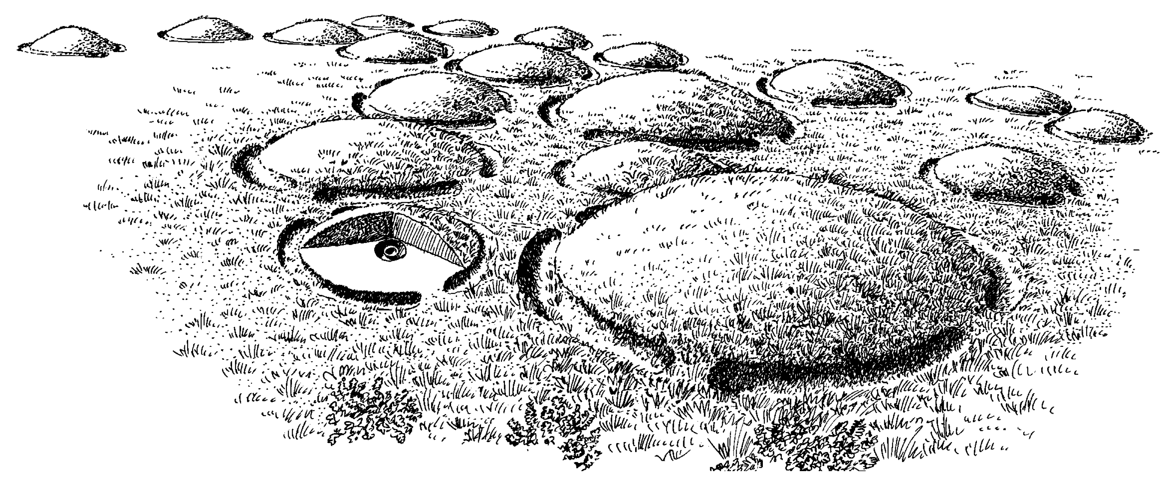 Preprints 91539 g003