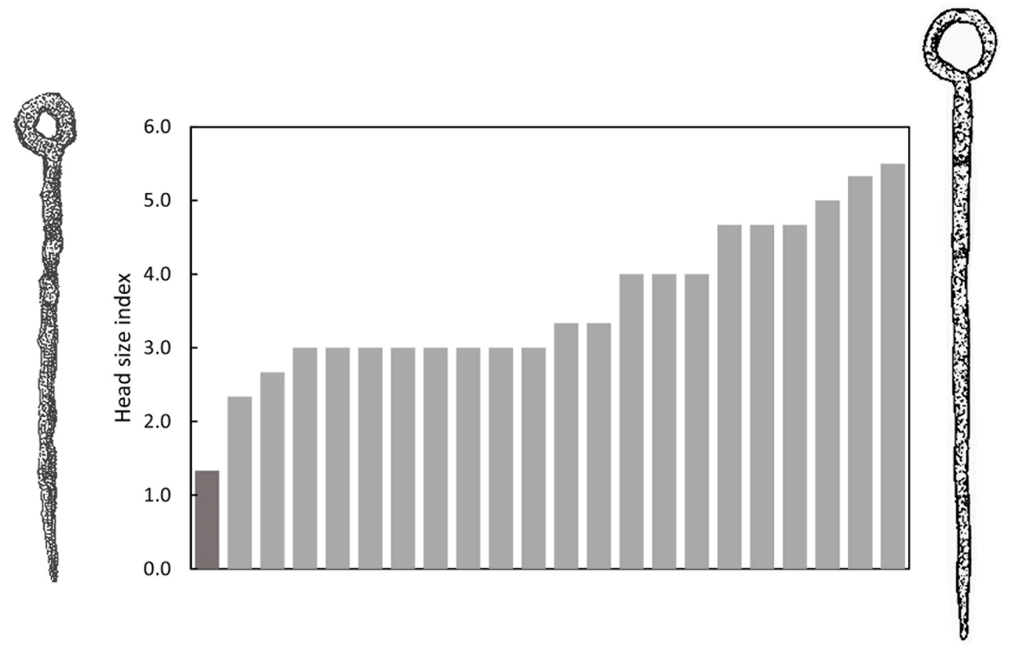 Preprints 91539 g004