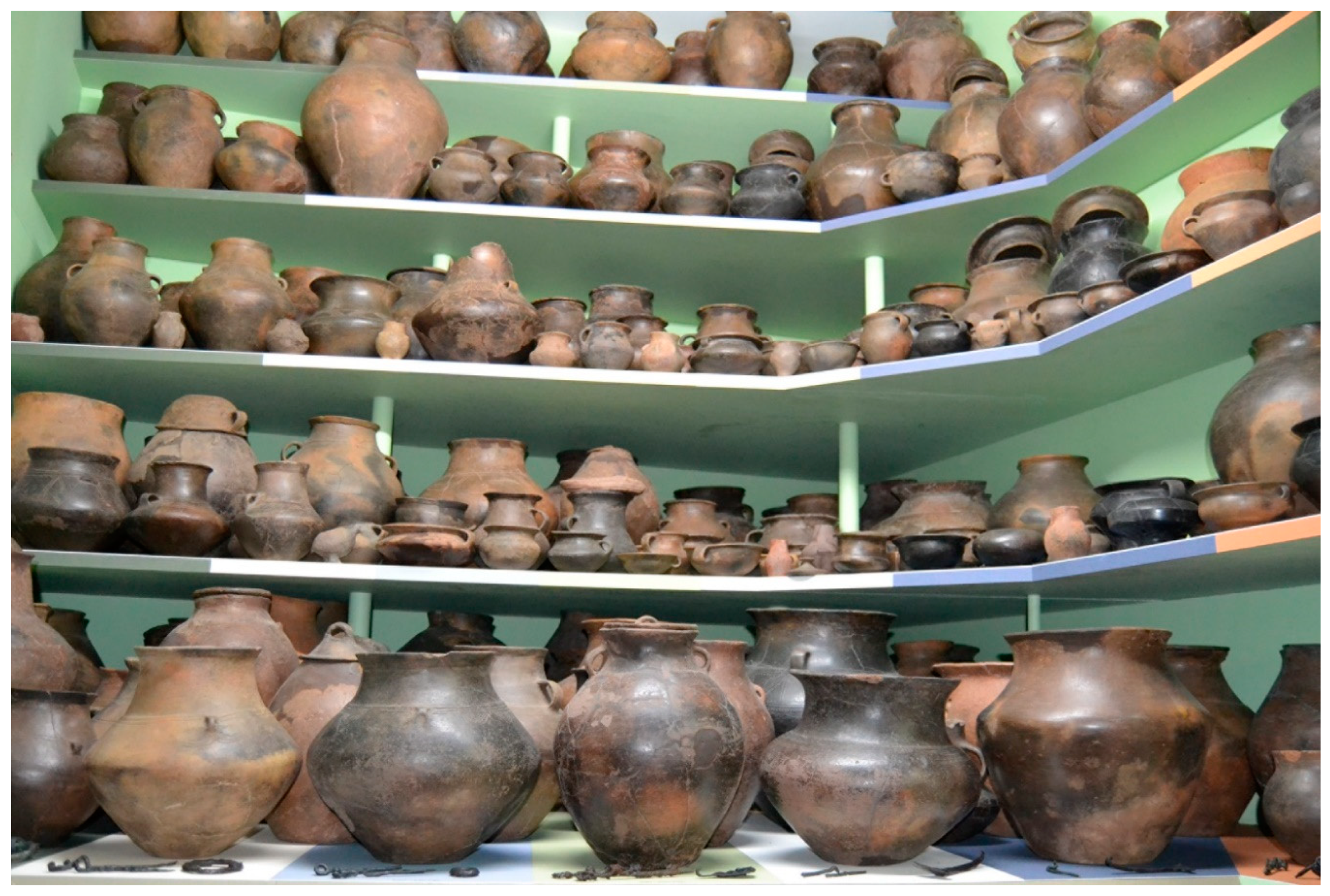 Preprints 91539 g005