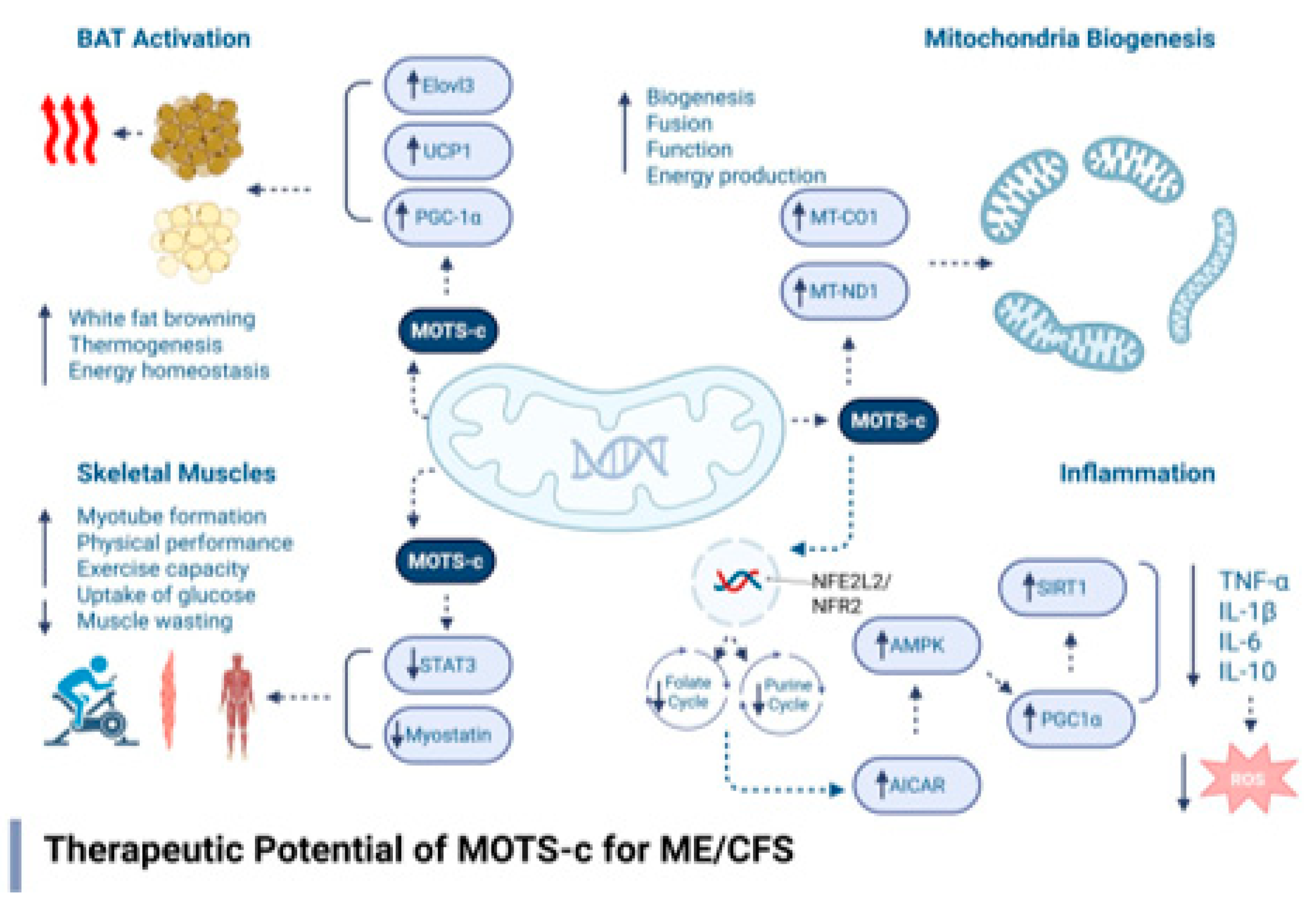 Preprints 165944 g001