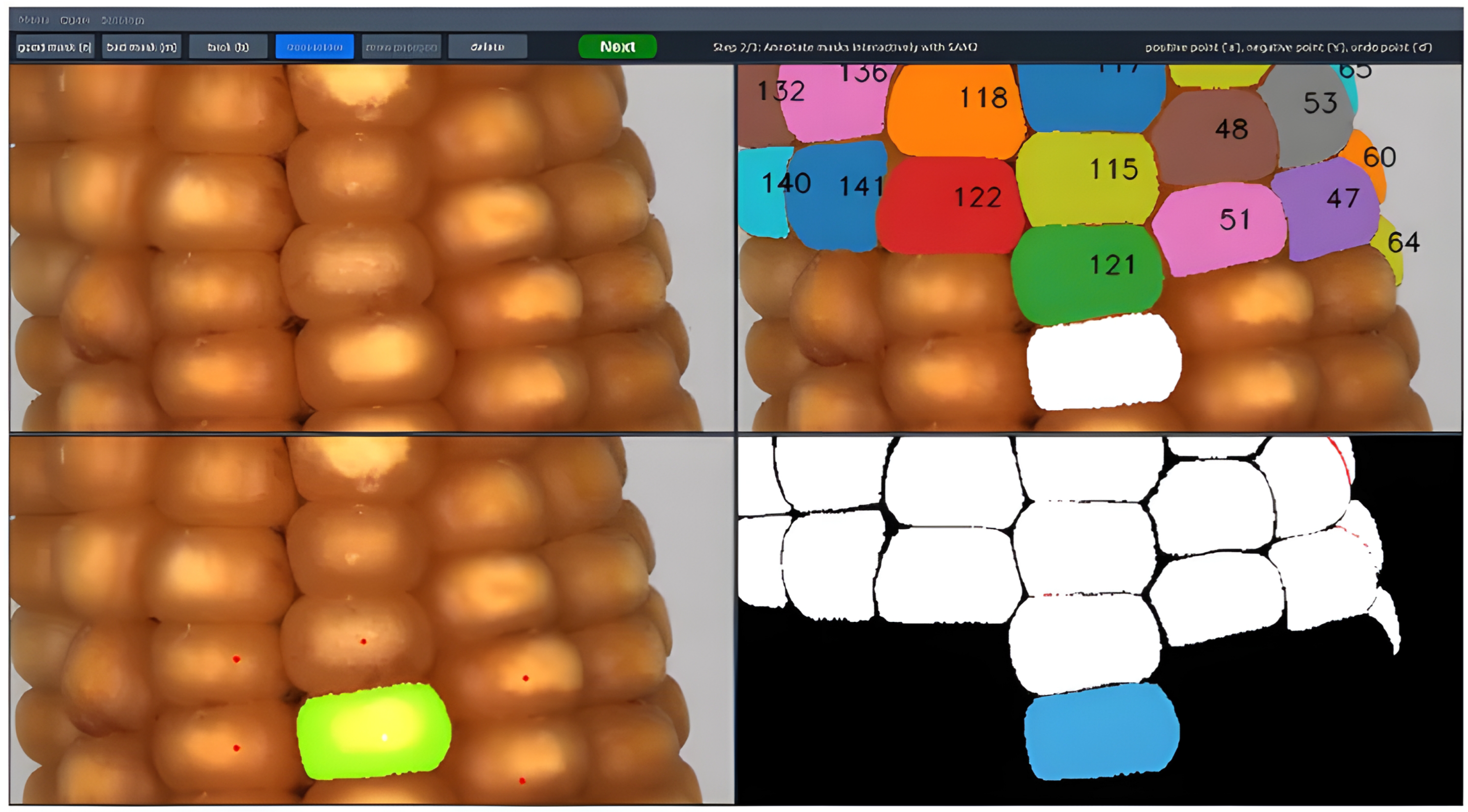 Ground Mobile Robots for High-Throughput Plant Phenotyping