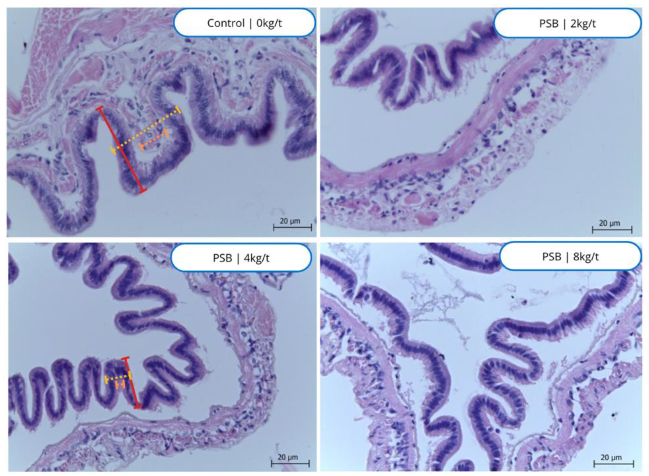 Preprints 143129 g004